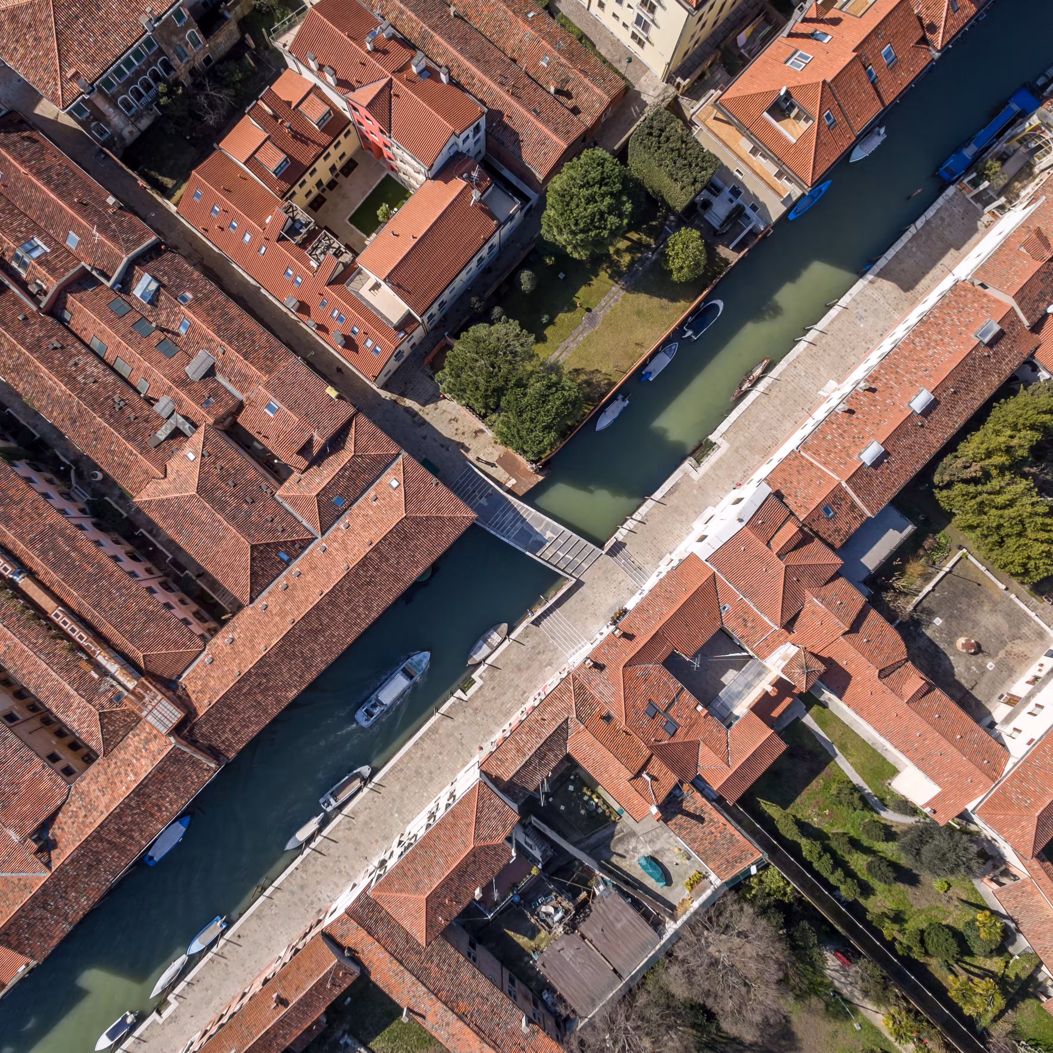 Crossings (Venice) 10/25