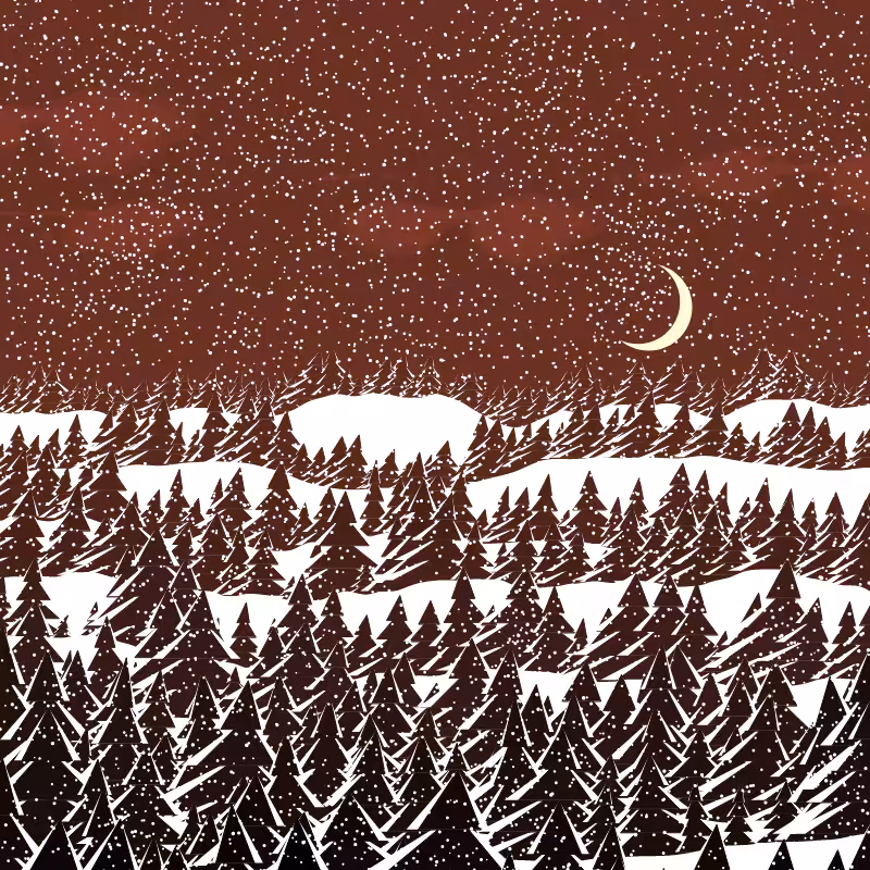 Winterland #126
