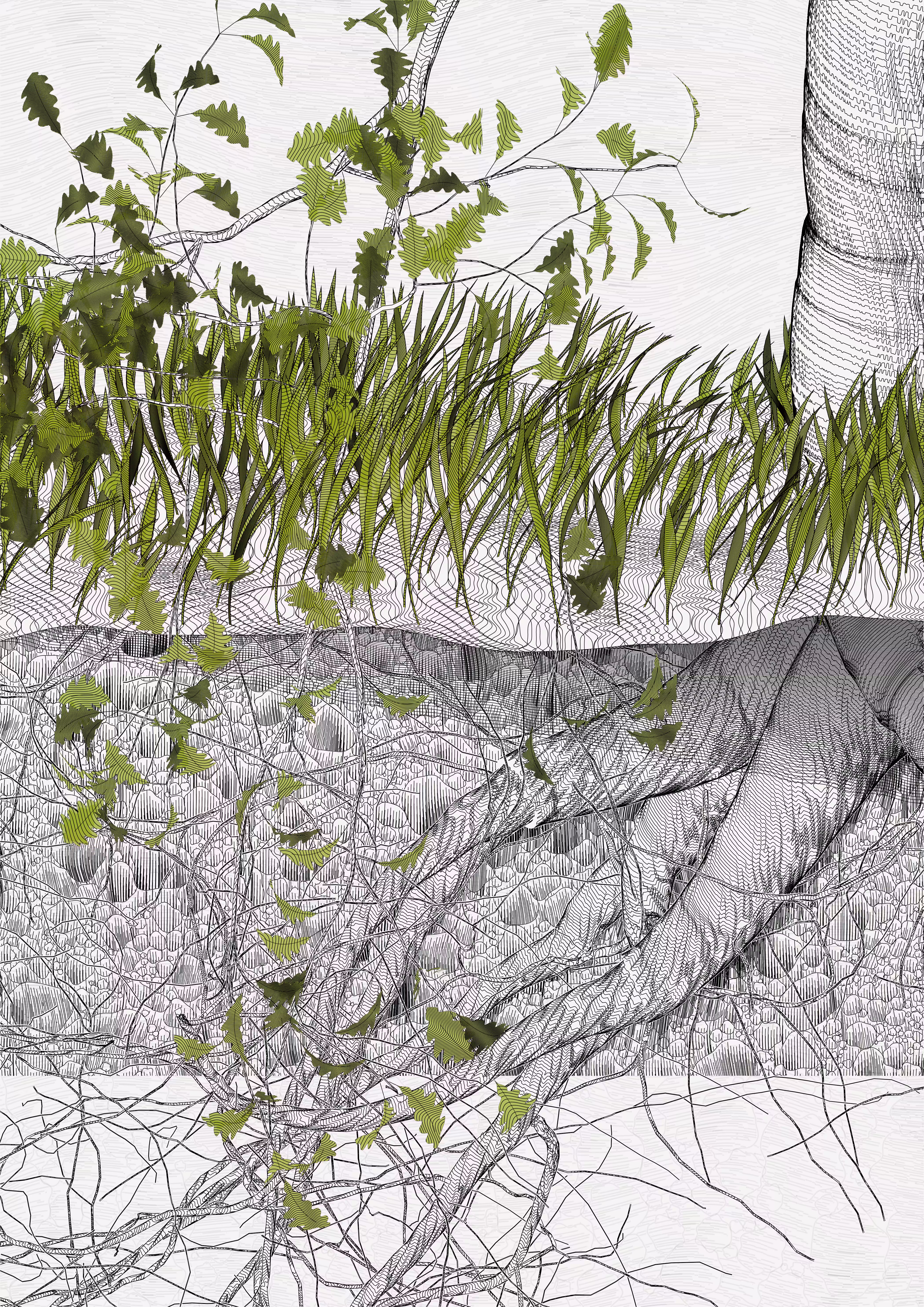 The Oak Tree part #-1,-1