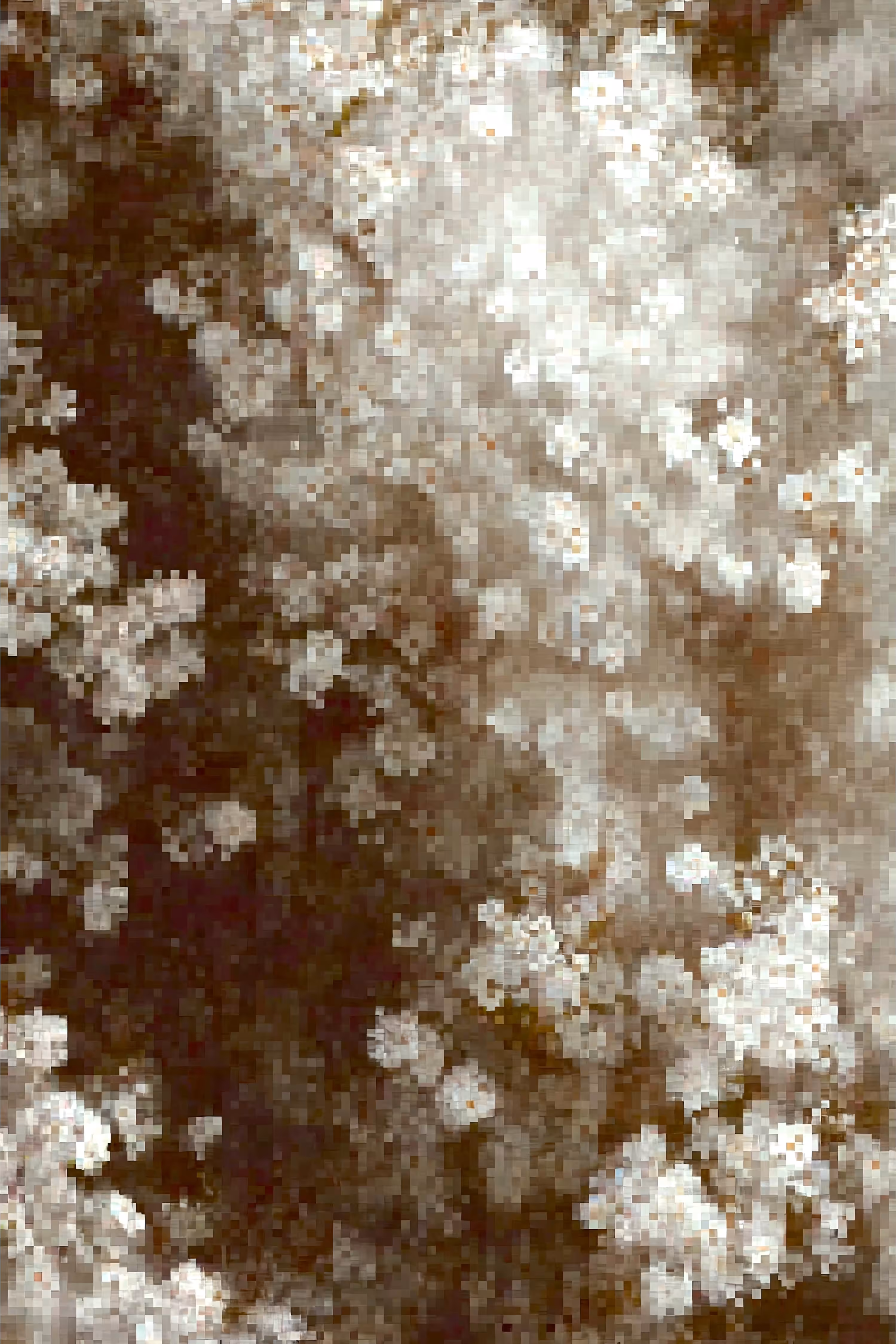Pretending Pixels