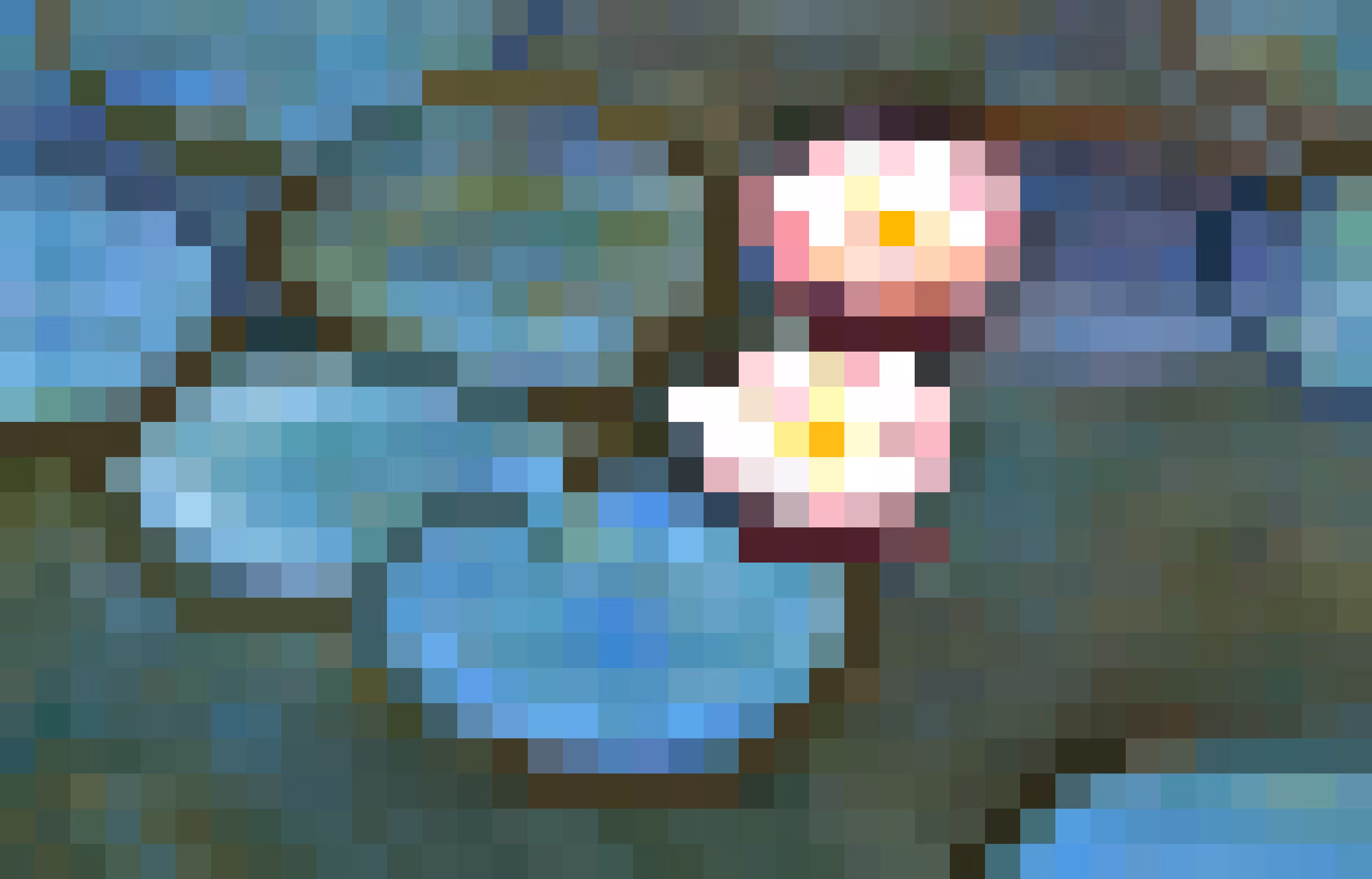 Water Lilies