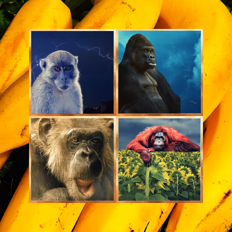 Banana legends #37