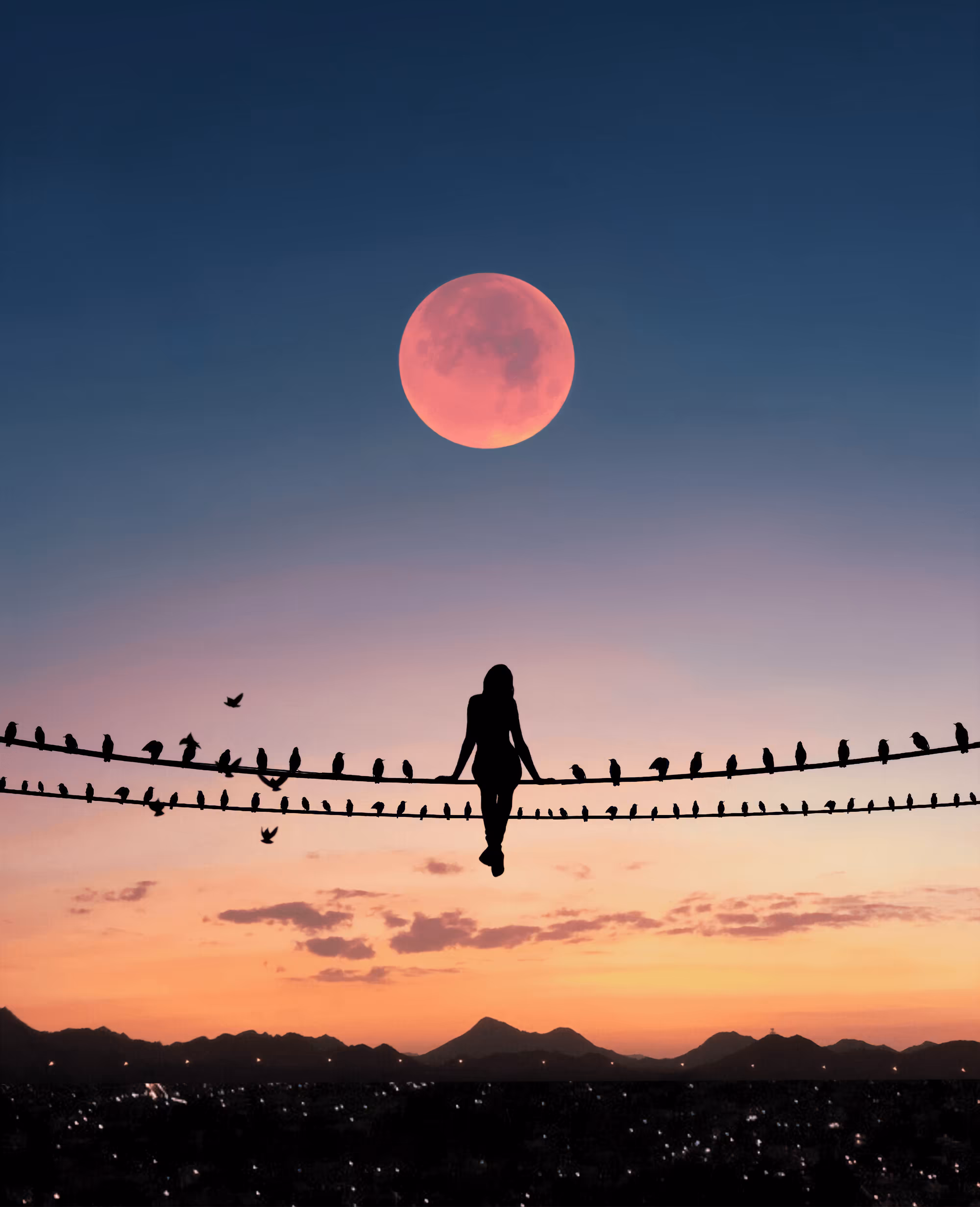the way of the birds: song of the birds