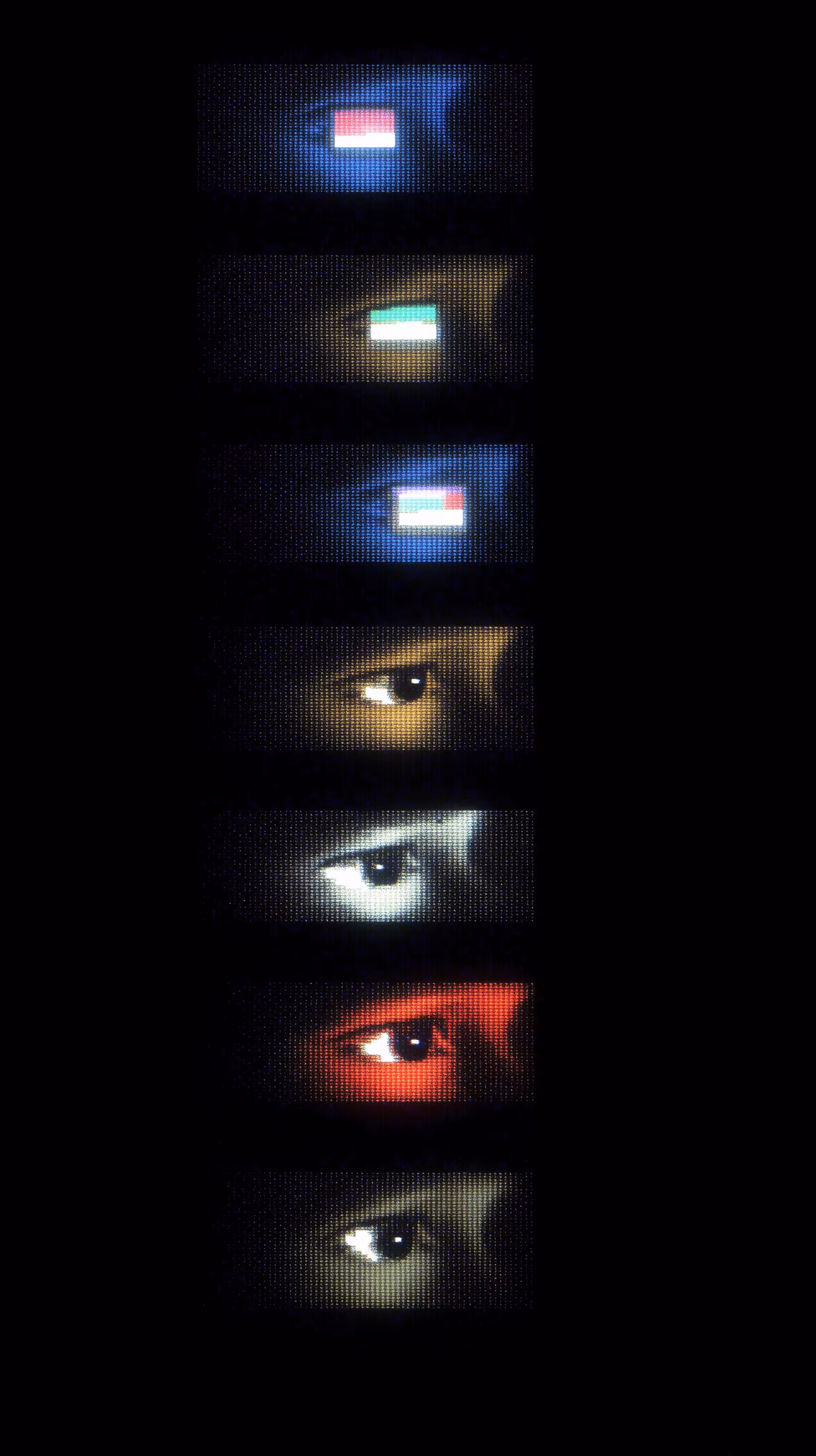reel eyes