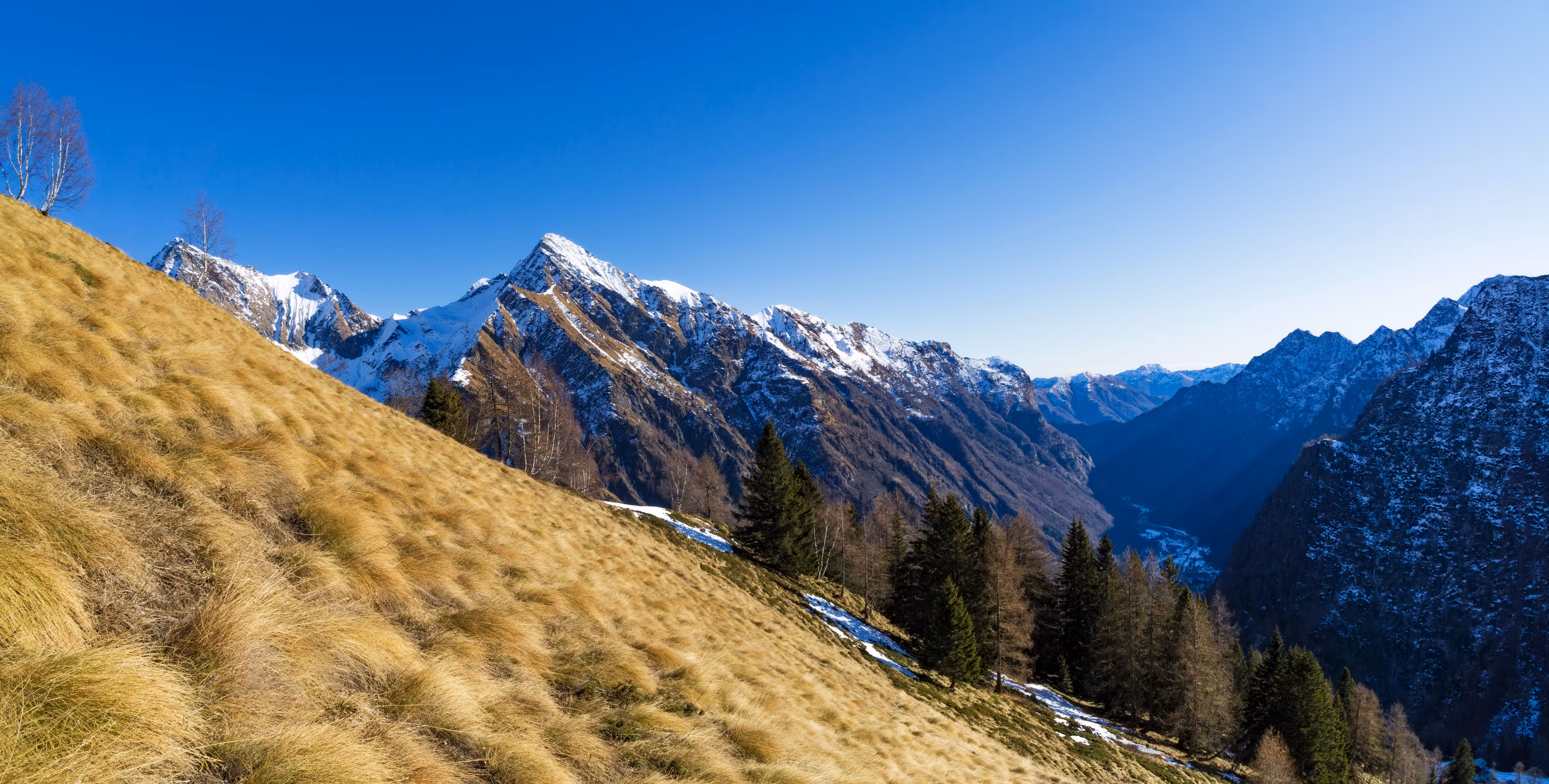 Warm winter...at 2000 meters above sea level