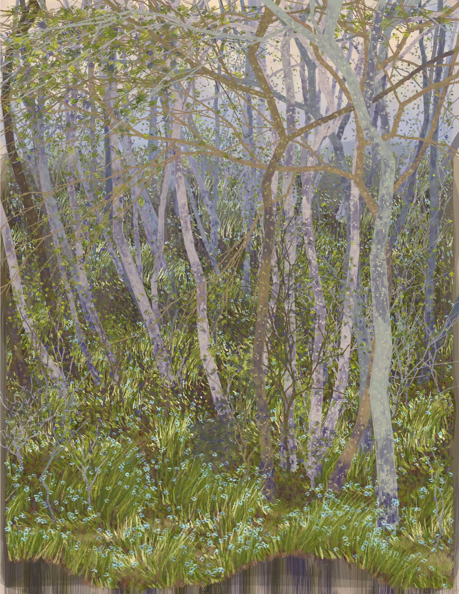 Deep Forest #342
