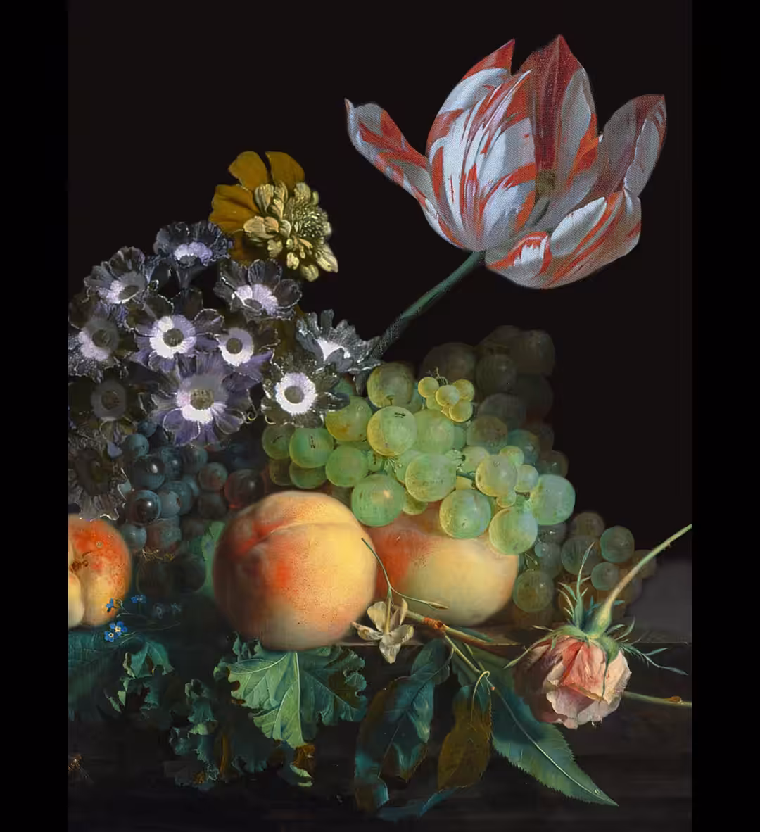 Tulipmania