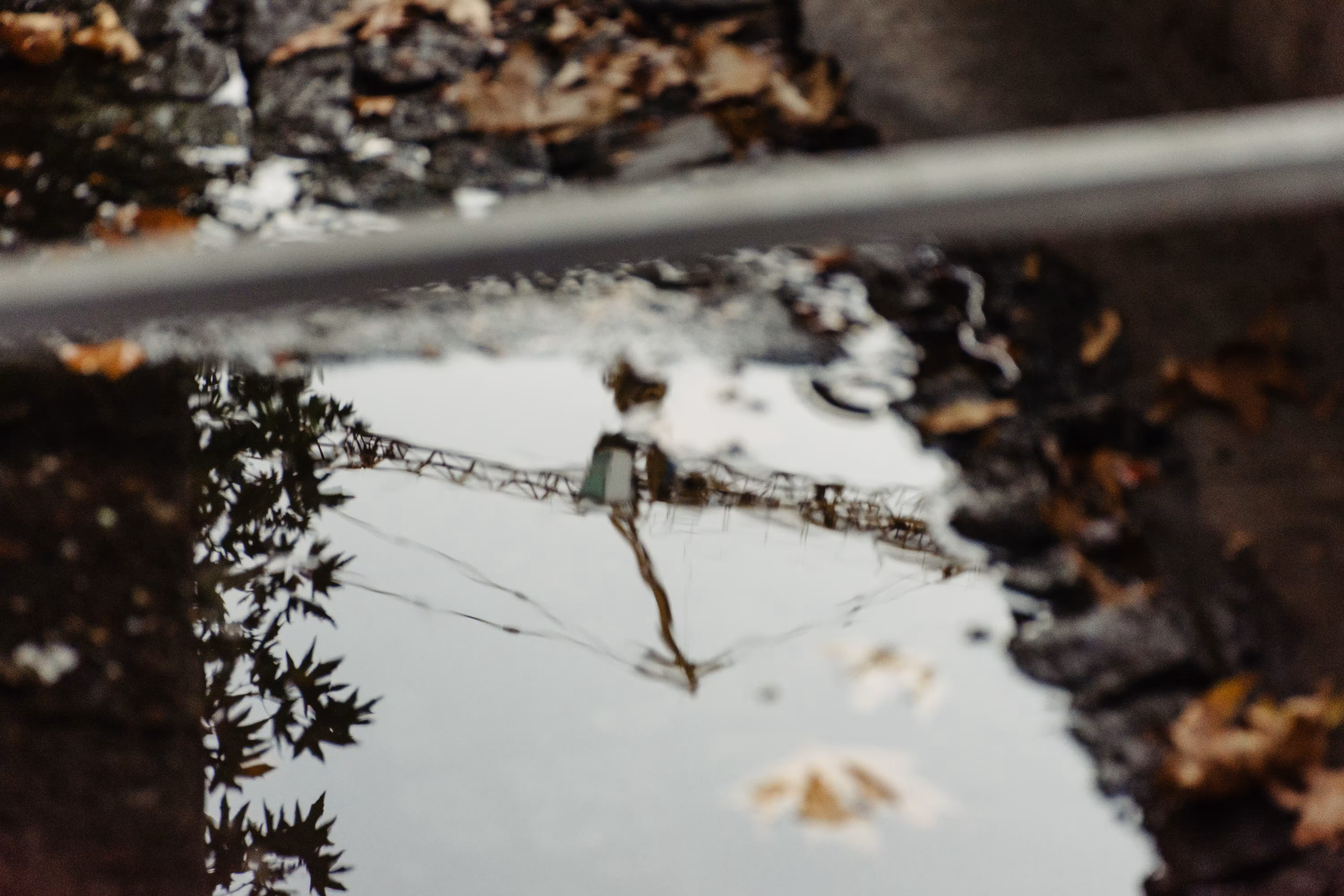 reflections#4