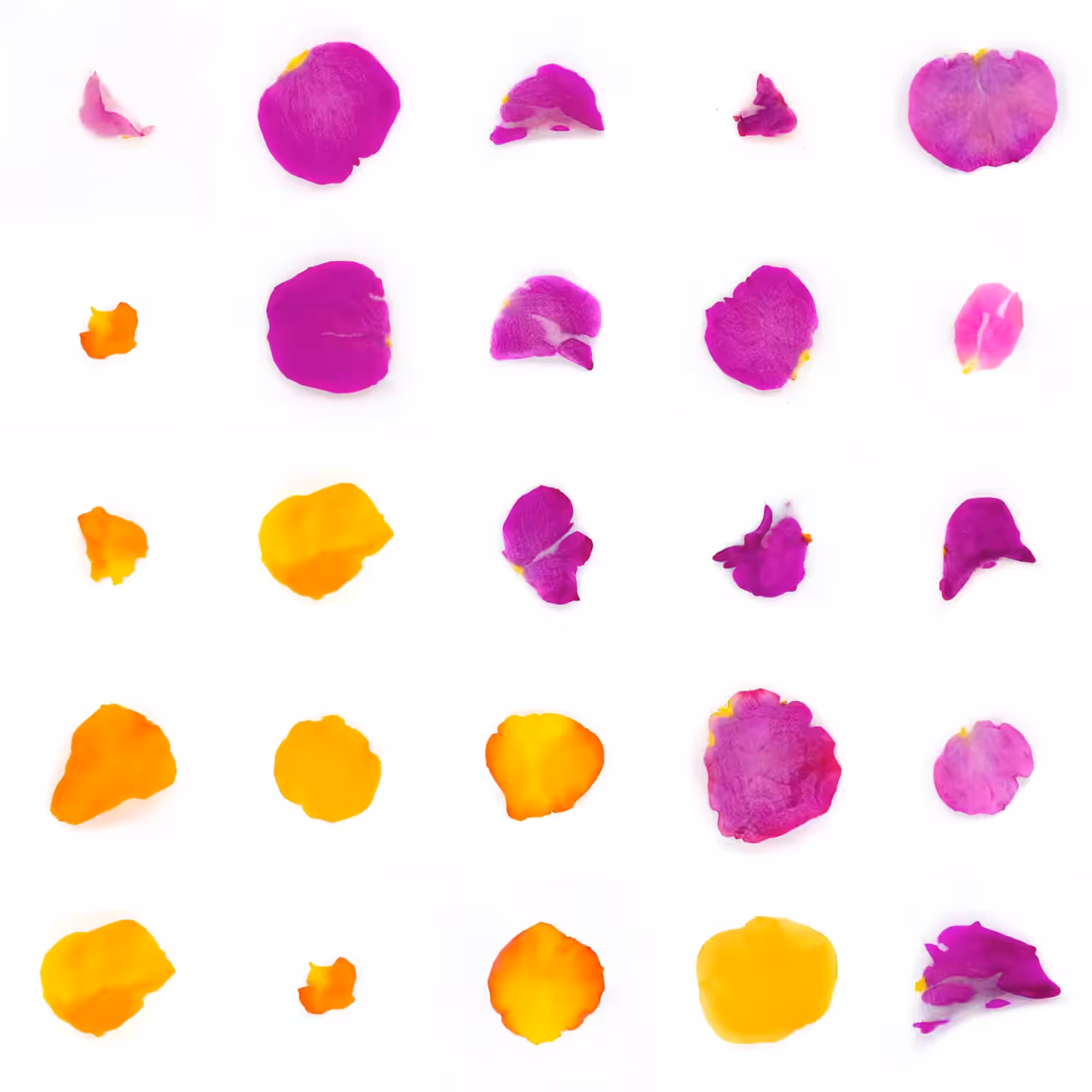 Infinite Petals 5x5#346