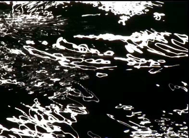 SUN WAVES