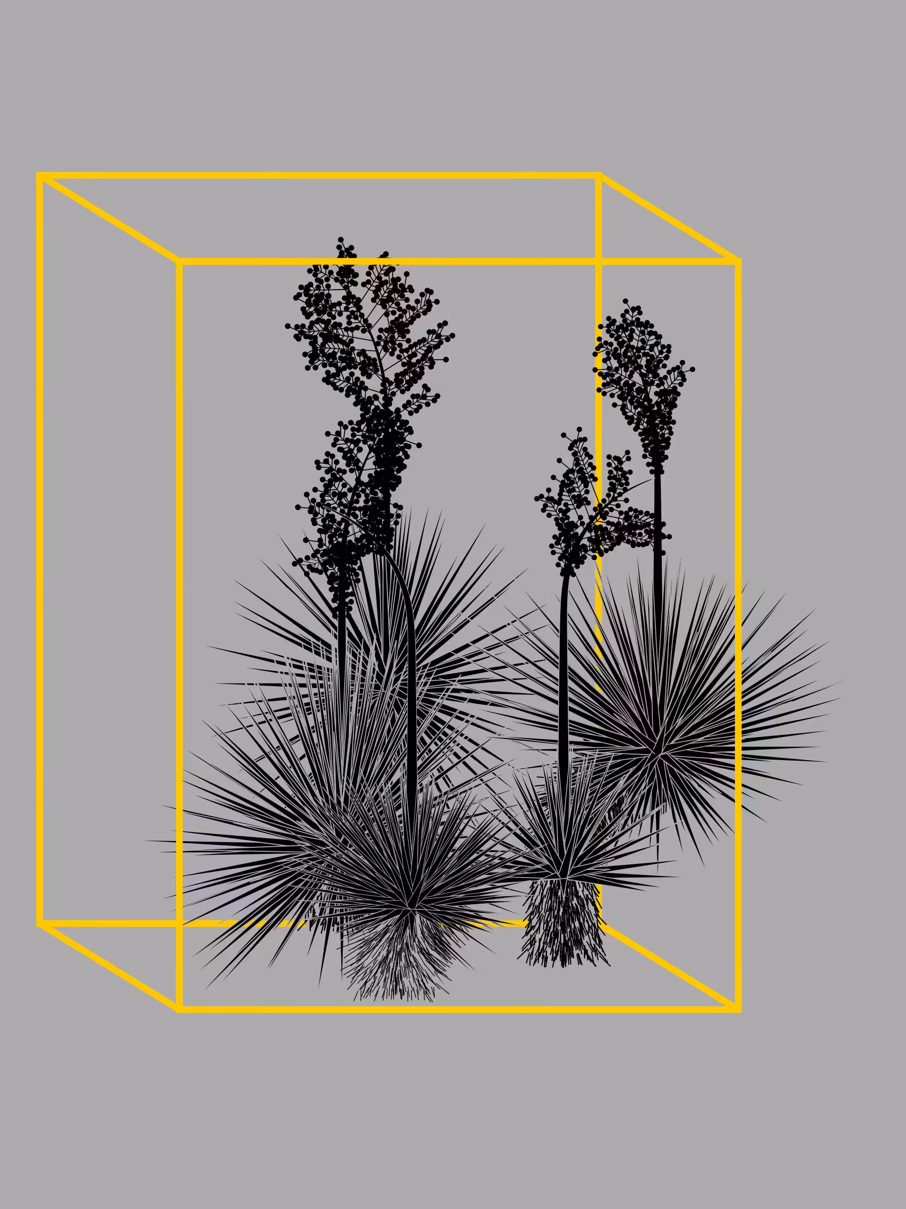 Marfa Yucca #190