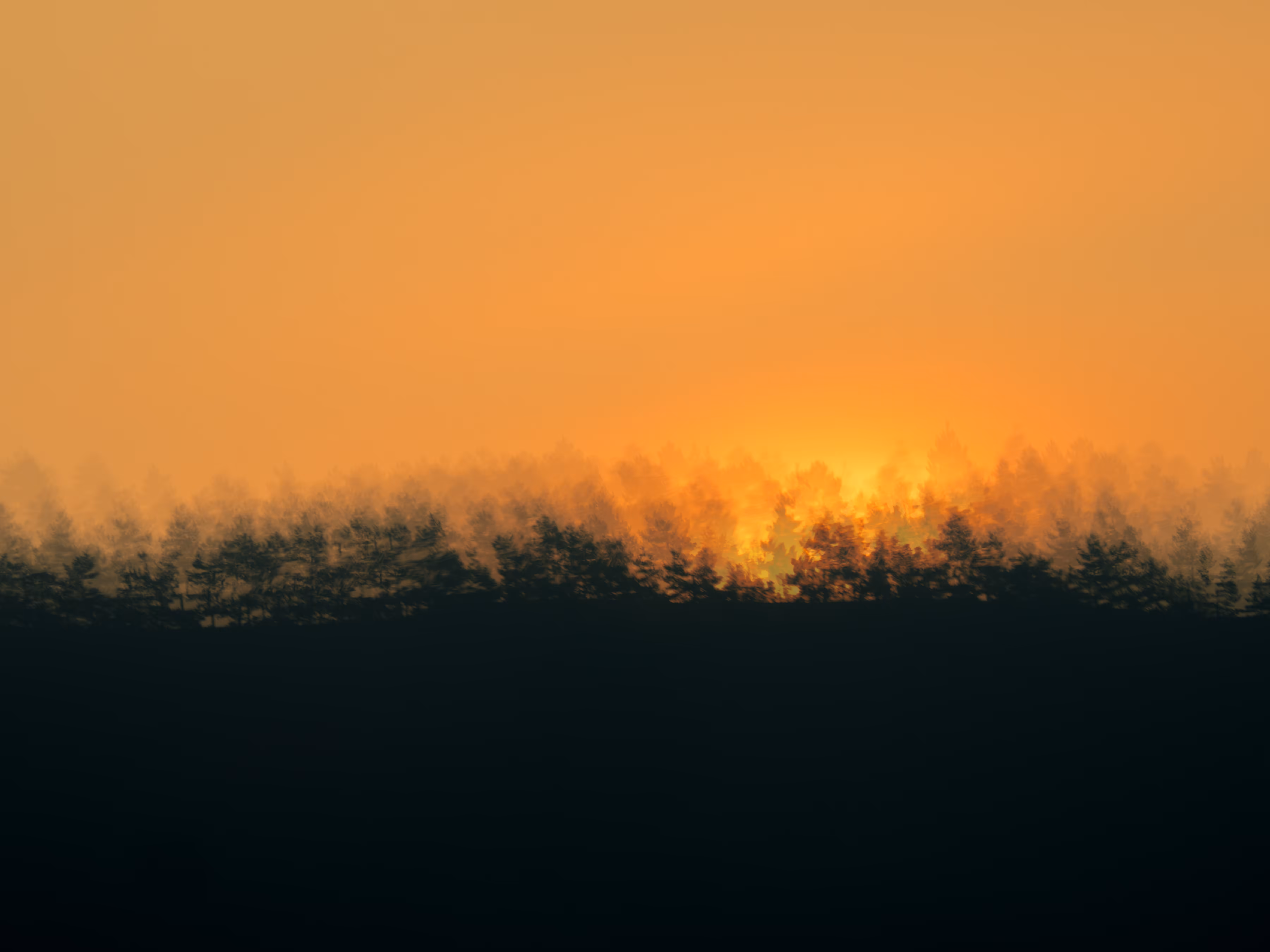 On the horizon