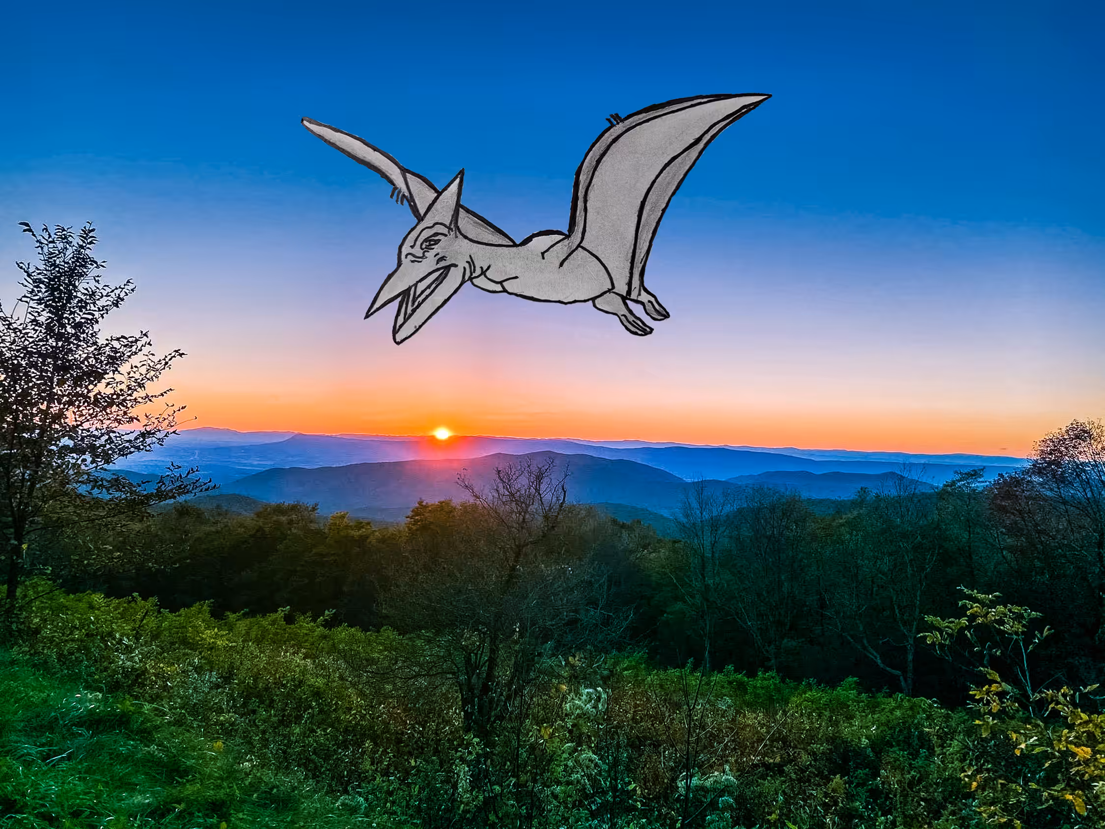 Pteranodon