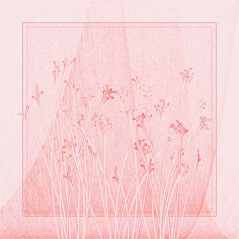 string_pllu #56