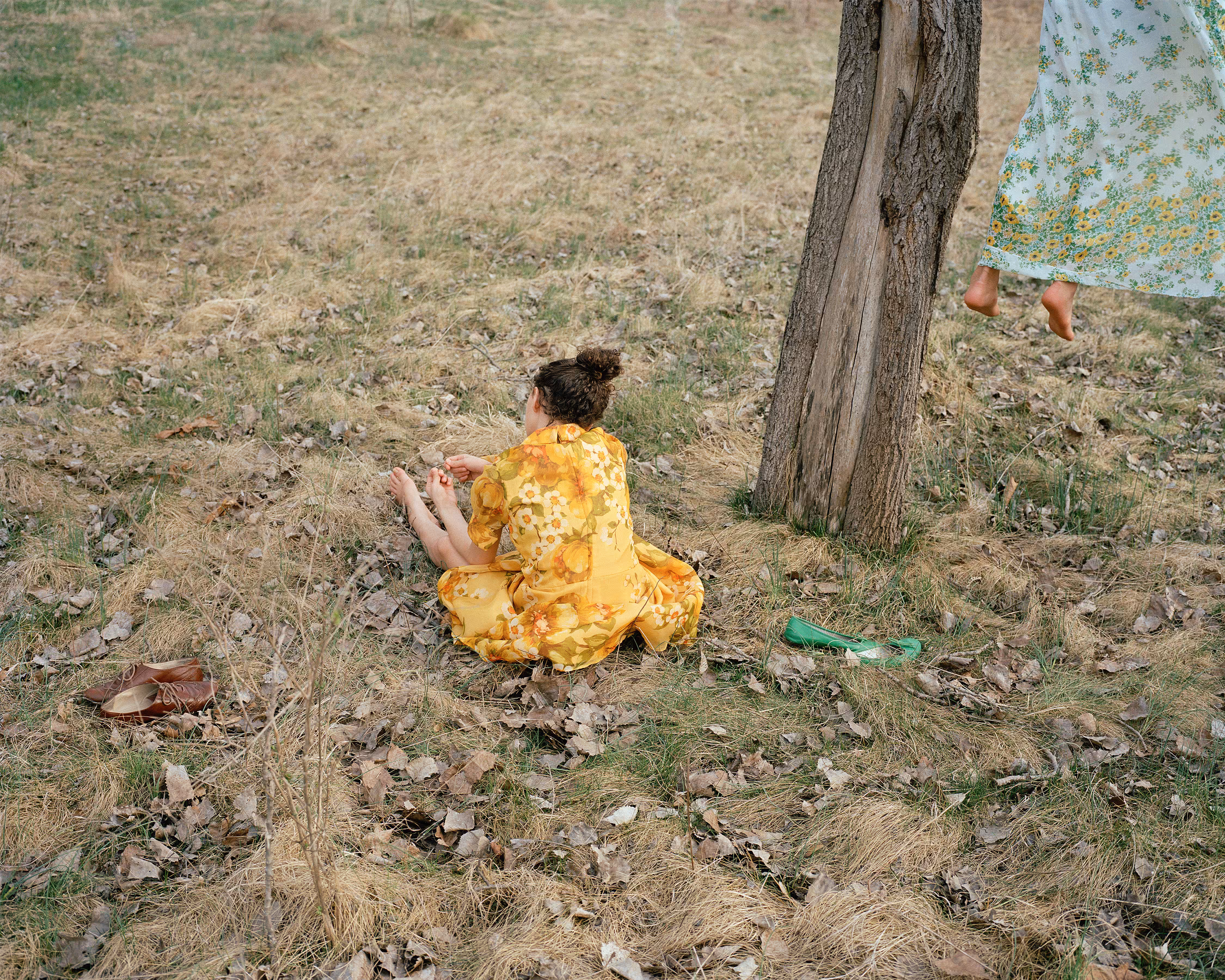 Communion - For the Tree to Drop, 2011