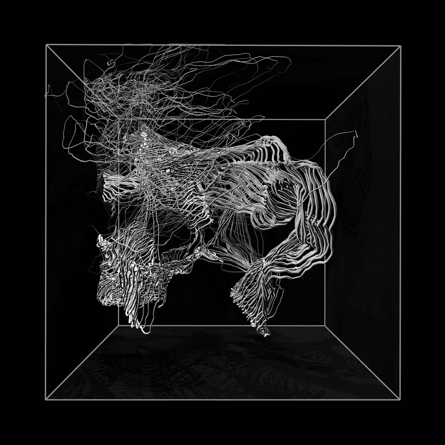 Constraint_noises. The lines
