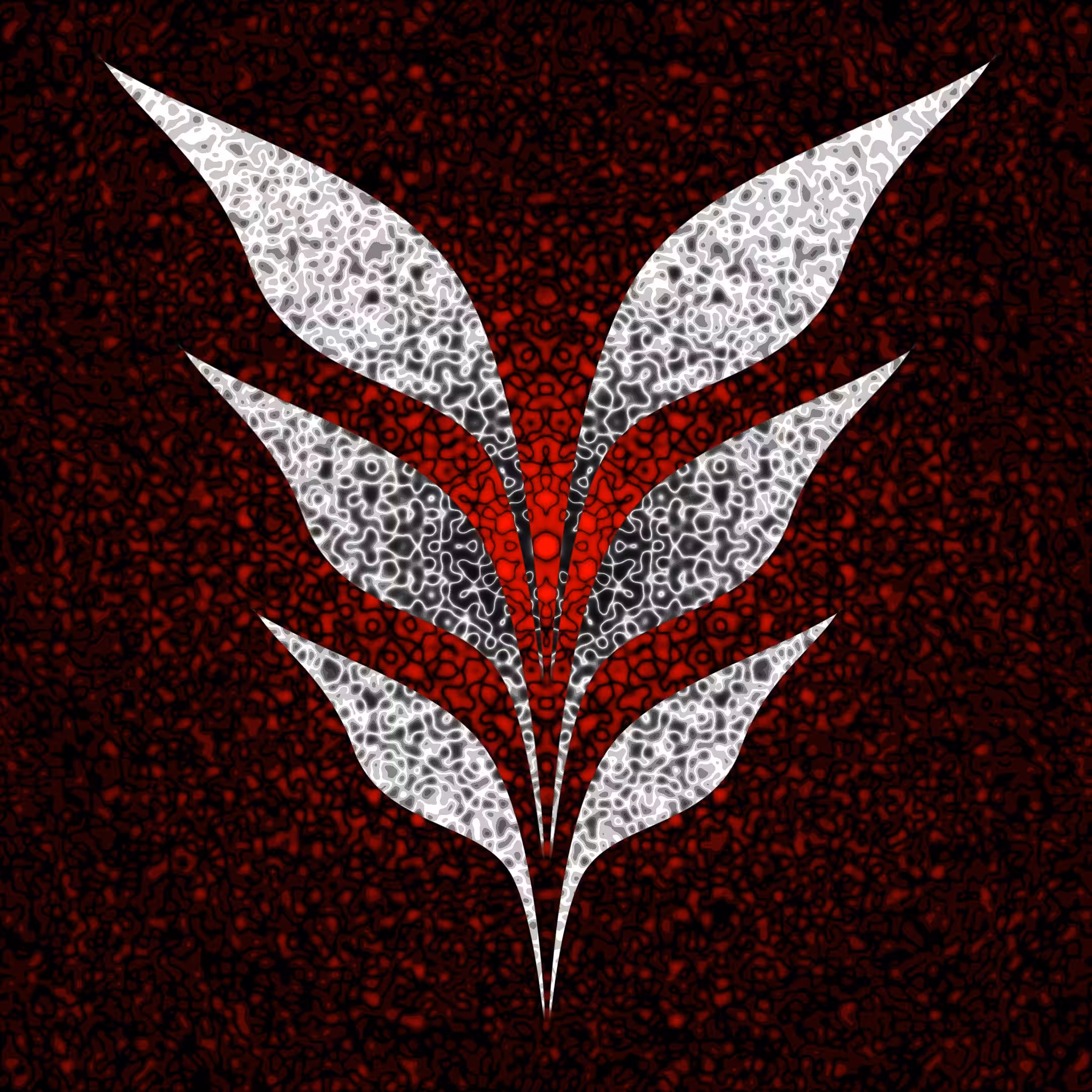 Paradigm Resolute