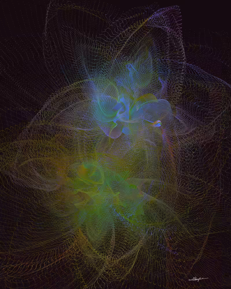 InBloom #54
