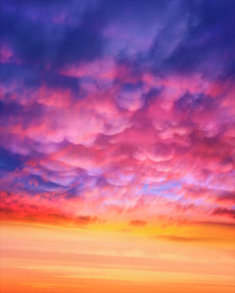 Shørsh Skies #1