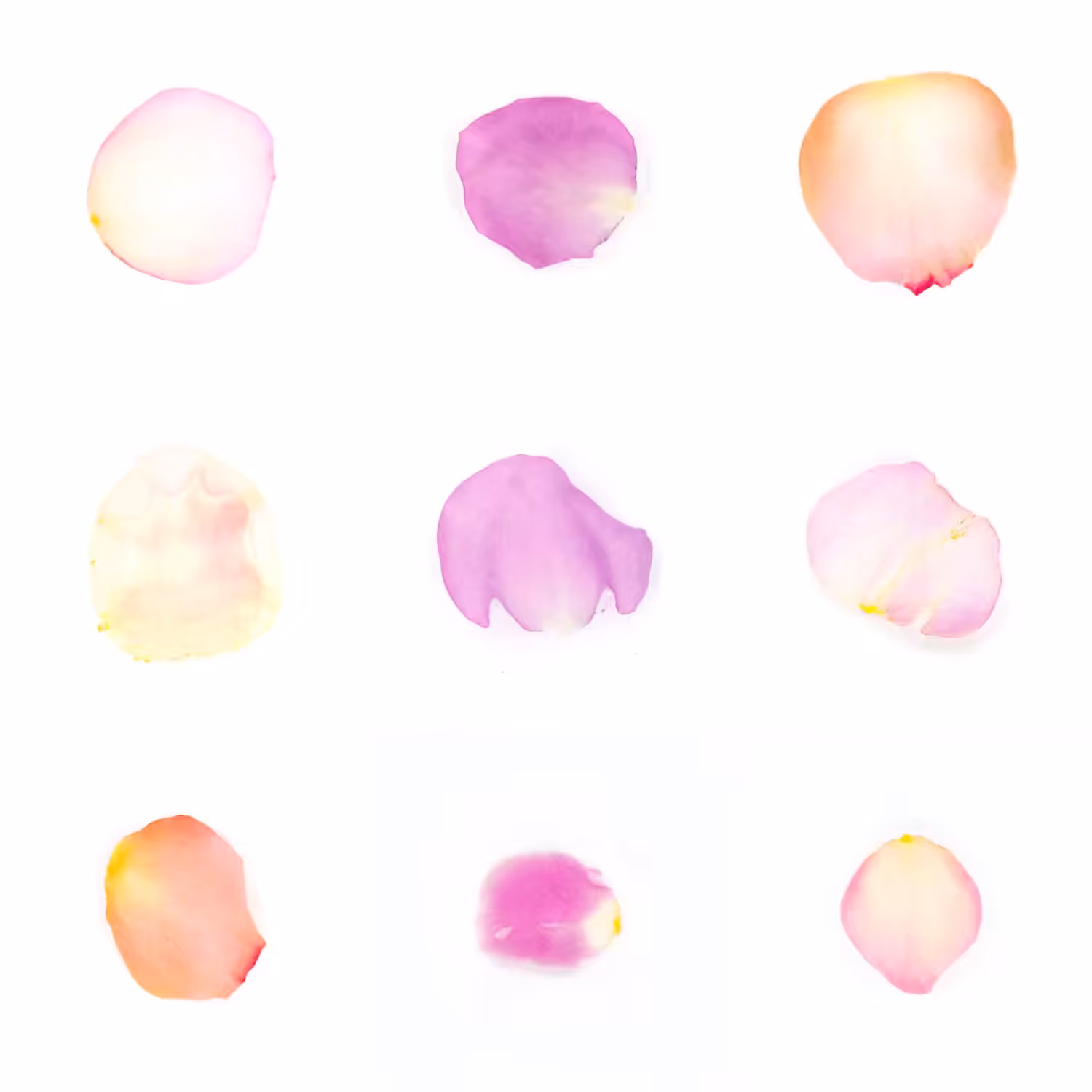 Infinite Petals 3x3#3857
