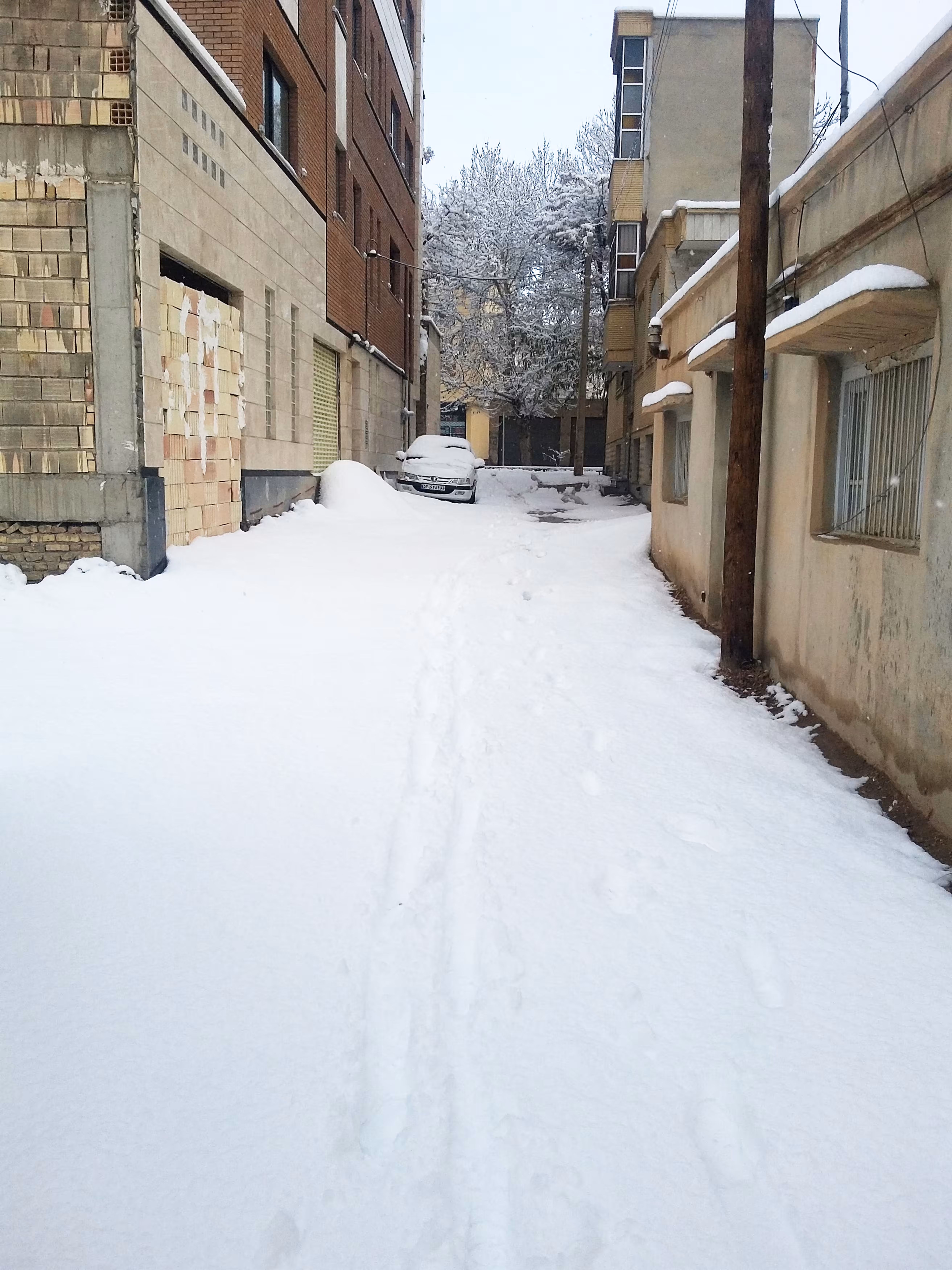 Snowfall on The Street #5