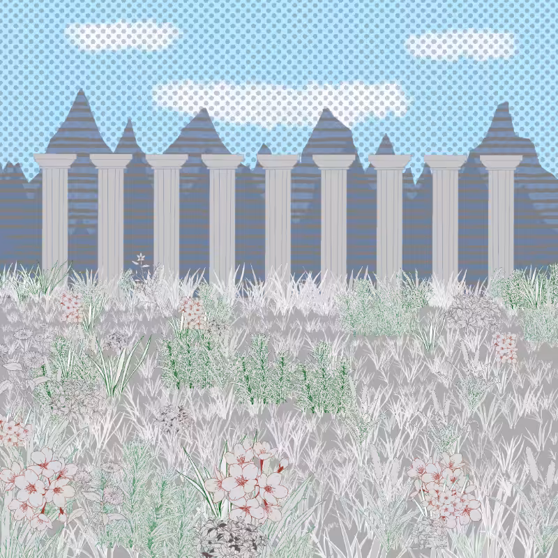 Mountain Meadows #17