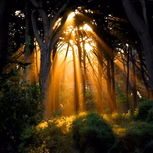 The Light at the End