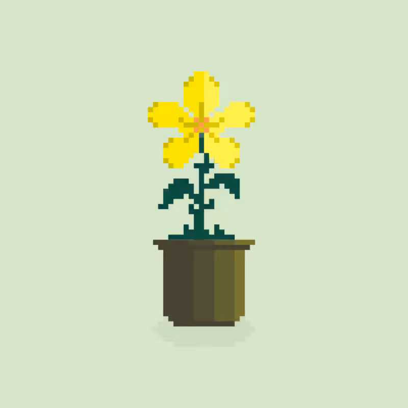 Nothing But Flowers #239