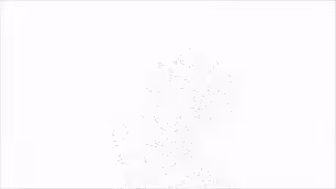Essence of Oxy 2024 - Ani & Mpozzecco Collab