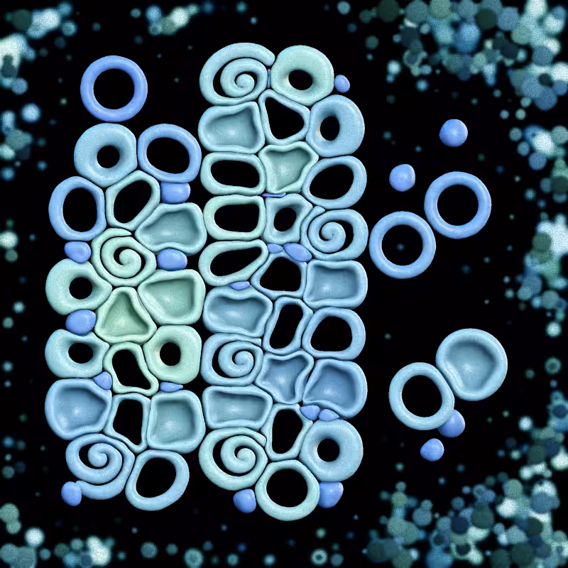 Haemo Globs #221