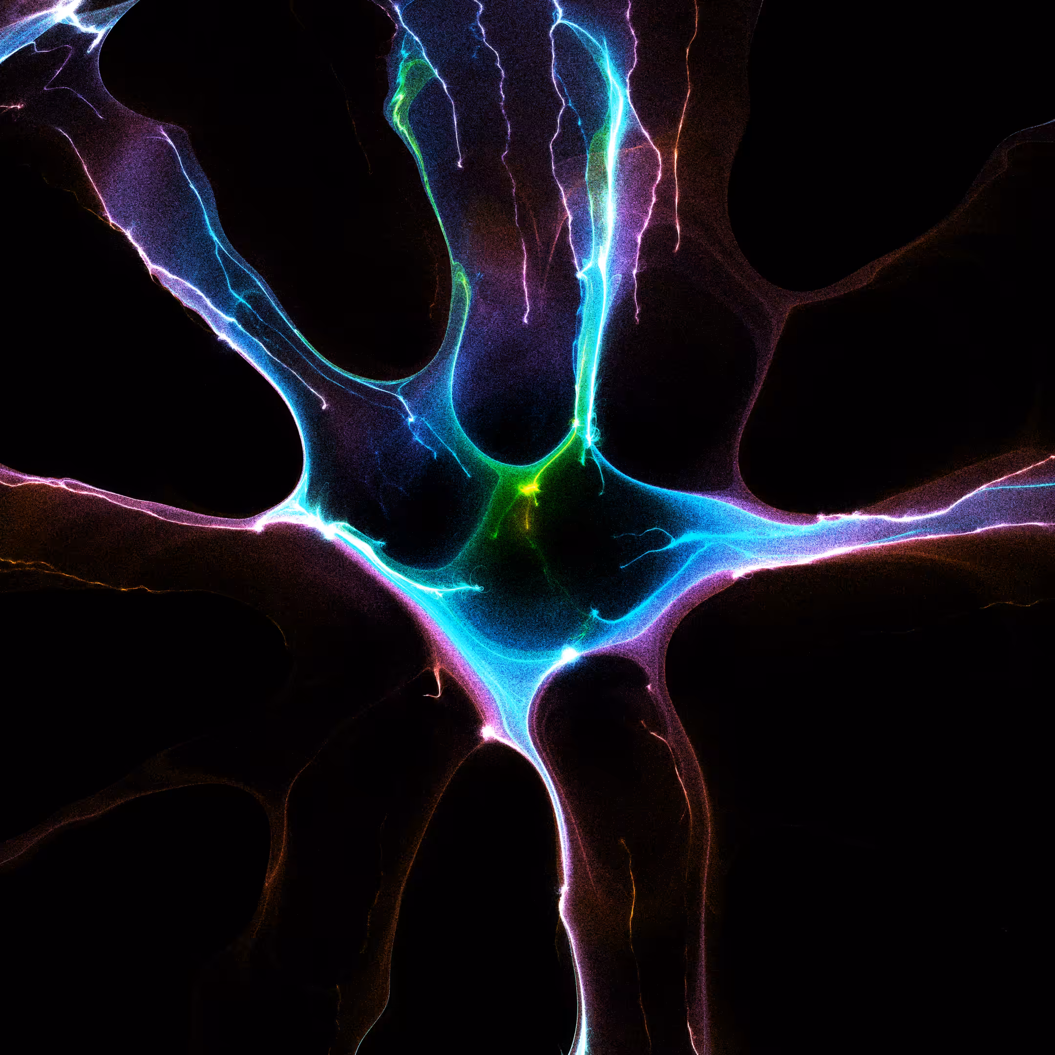 Wavelength persistence #68