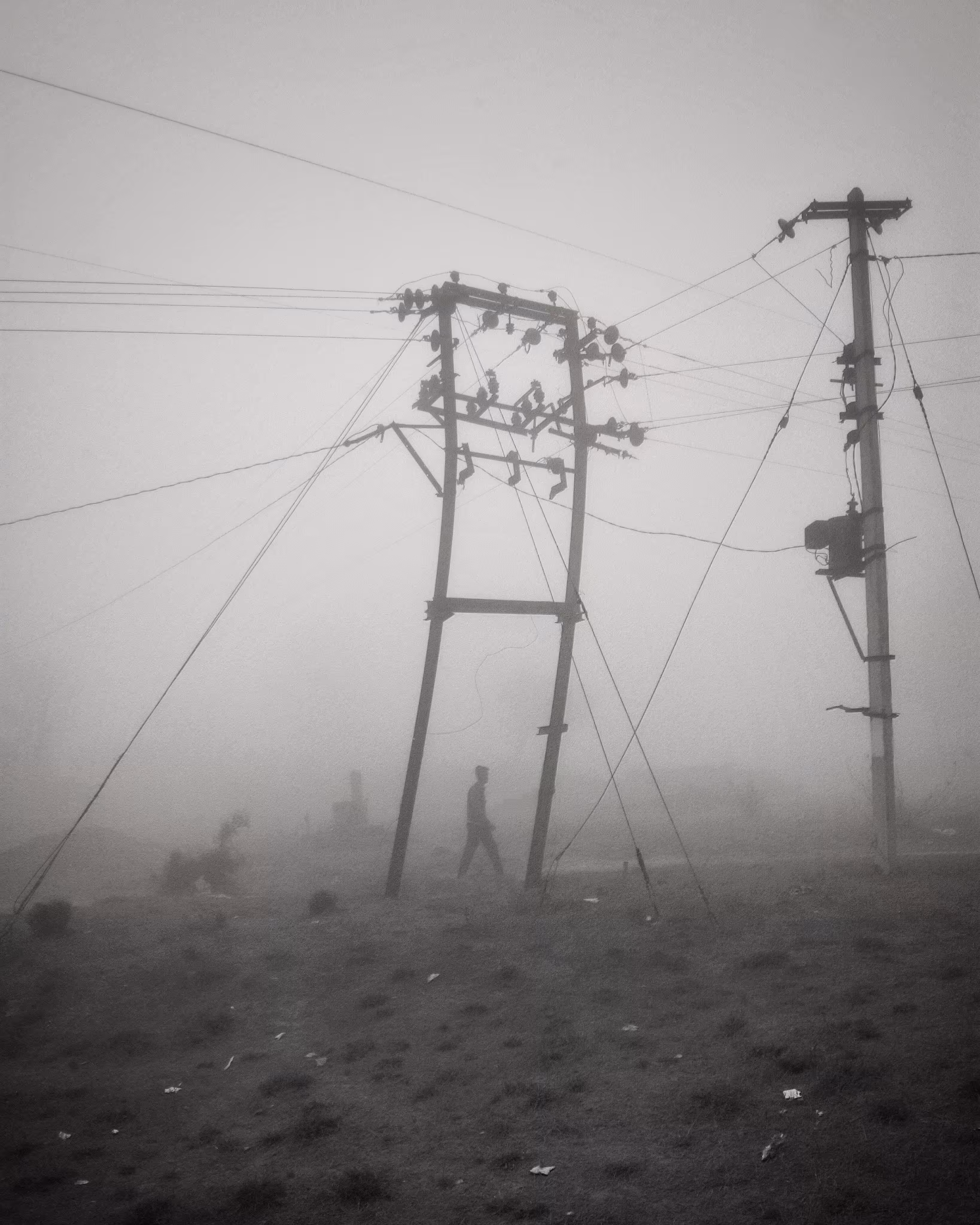 Foggy morning!