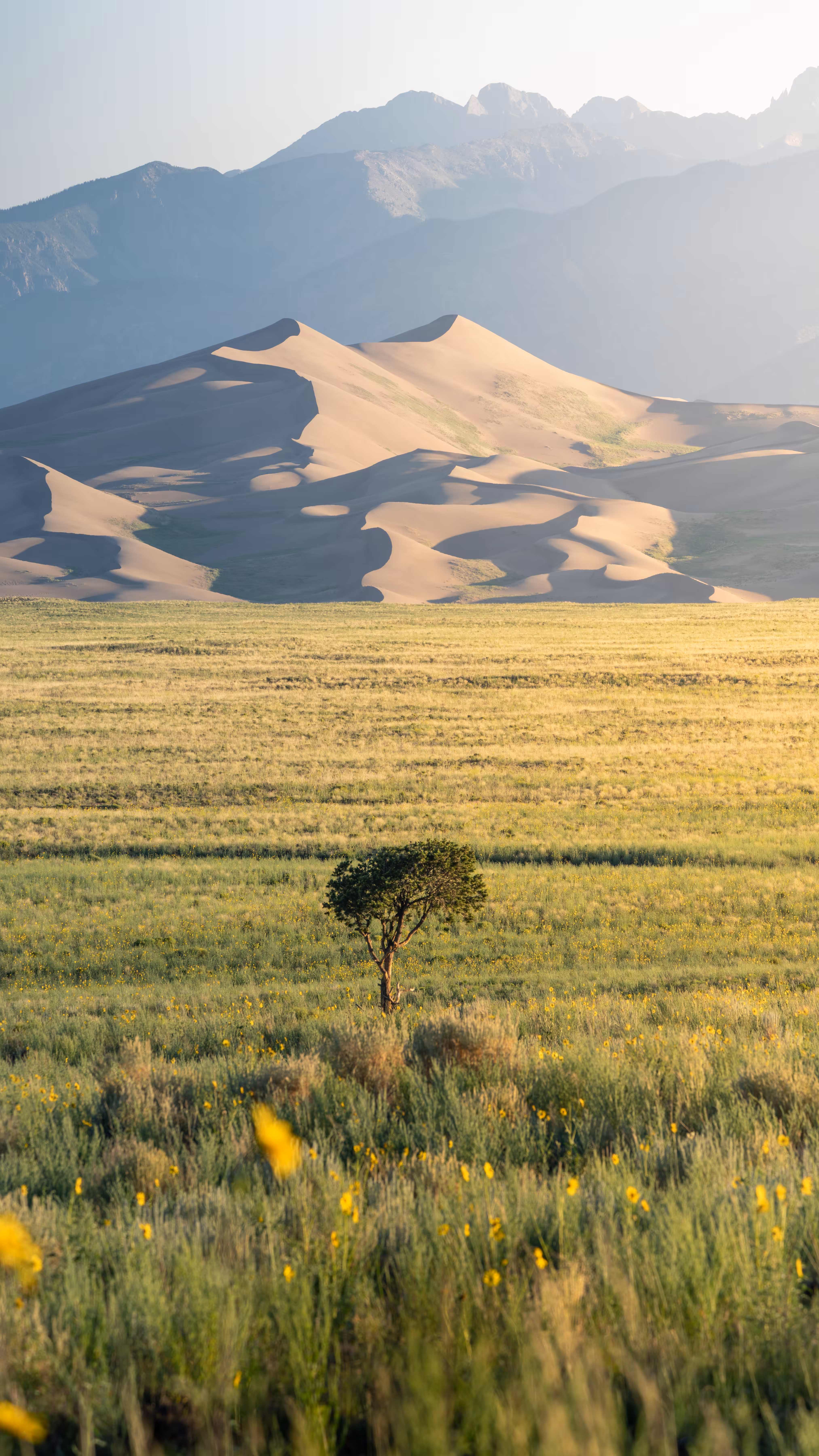 Alone at the Dunes
