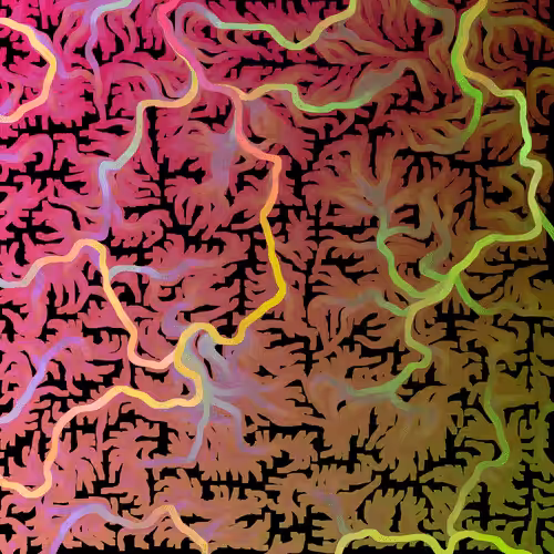 Flow Fields #1