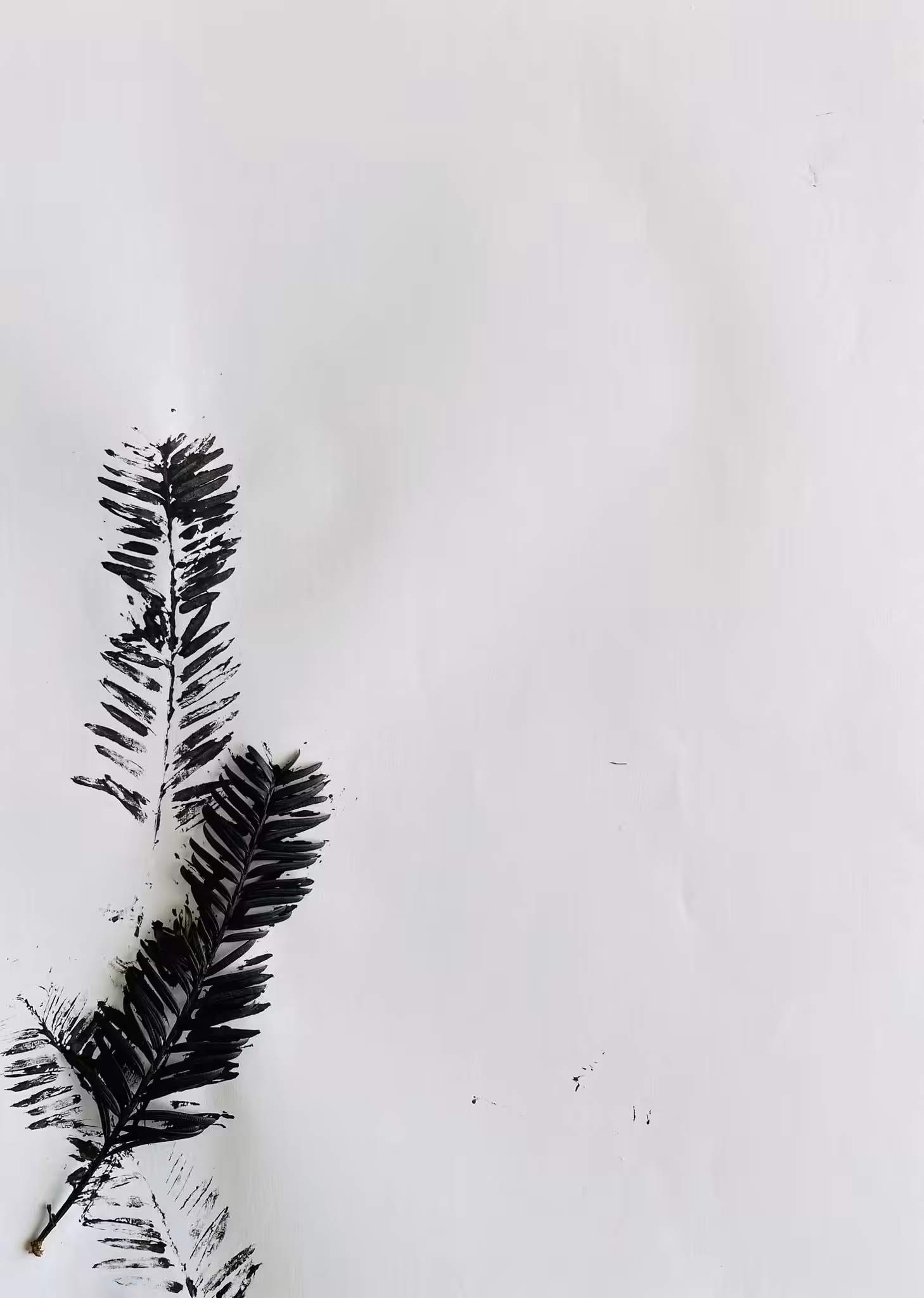 Evergreen