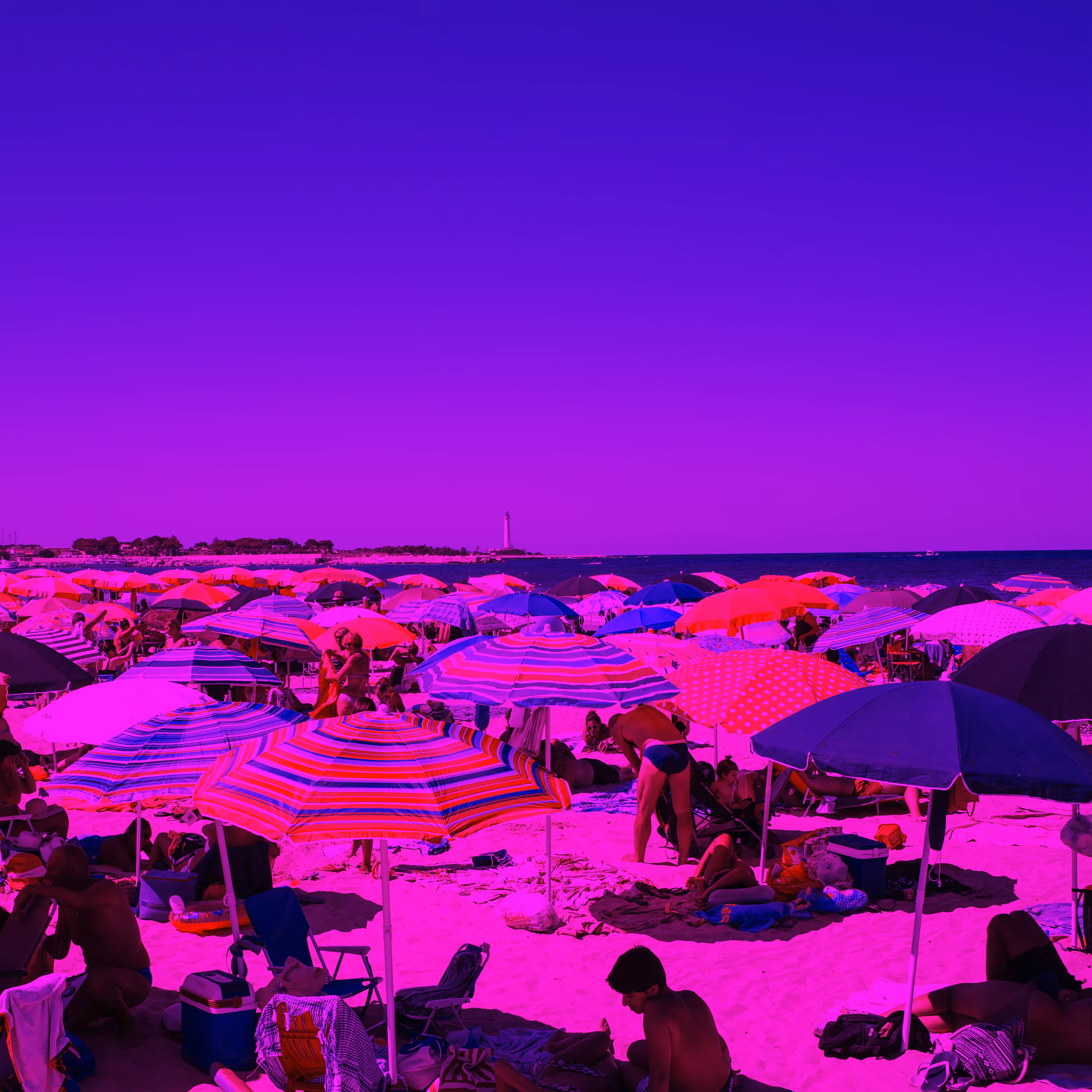 Meet Me At The Beach