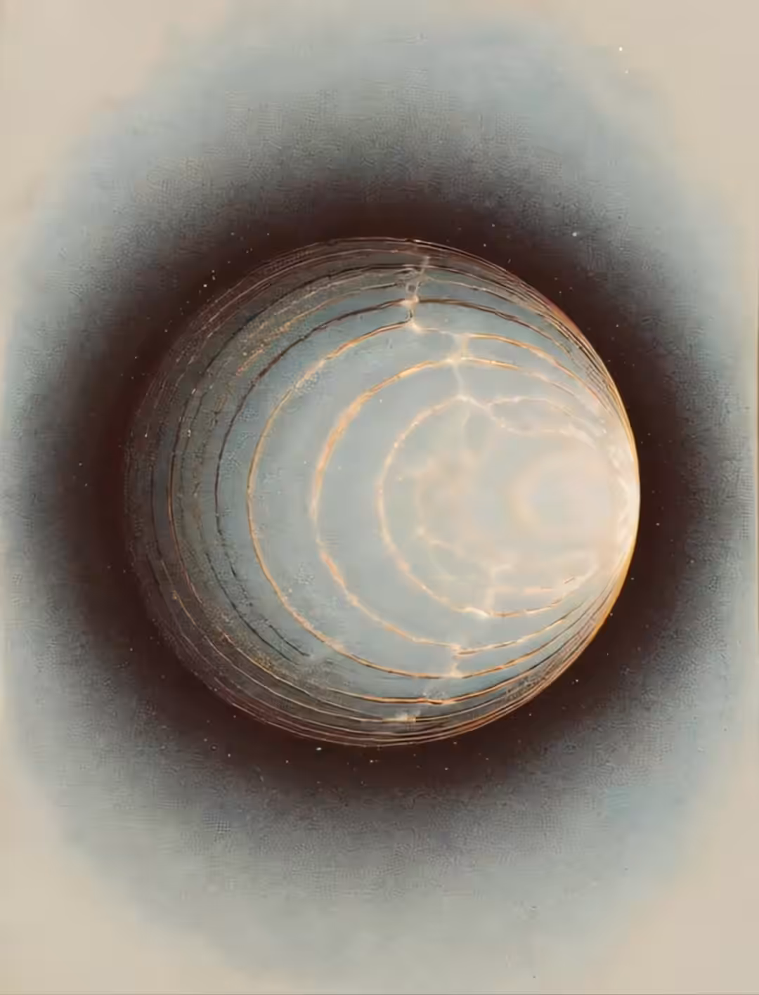 Forecast Loops: Return to Light II
