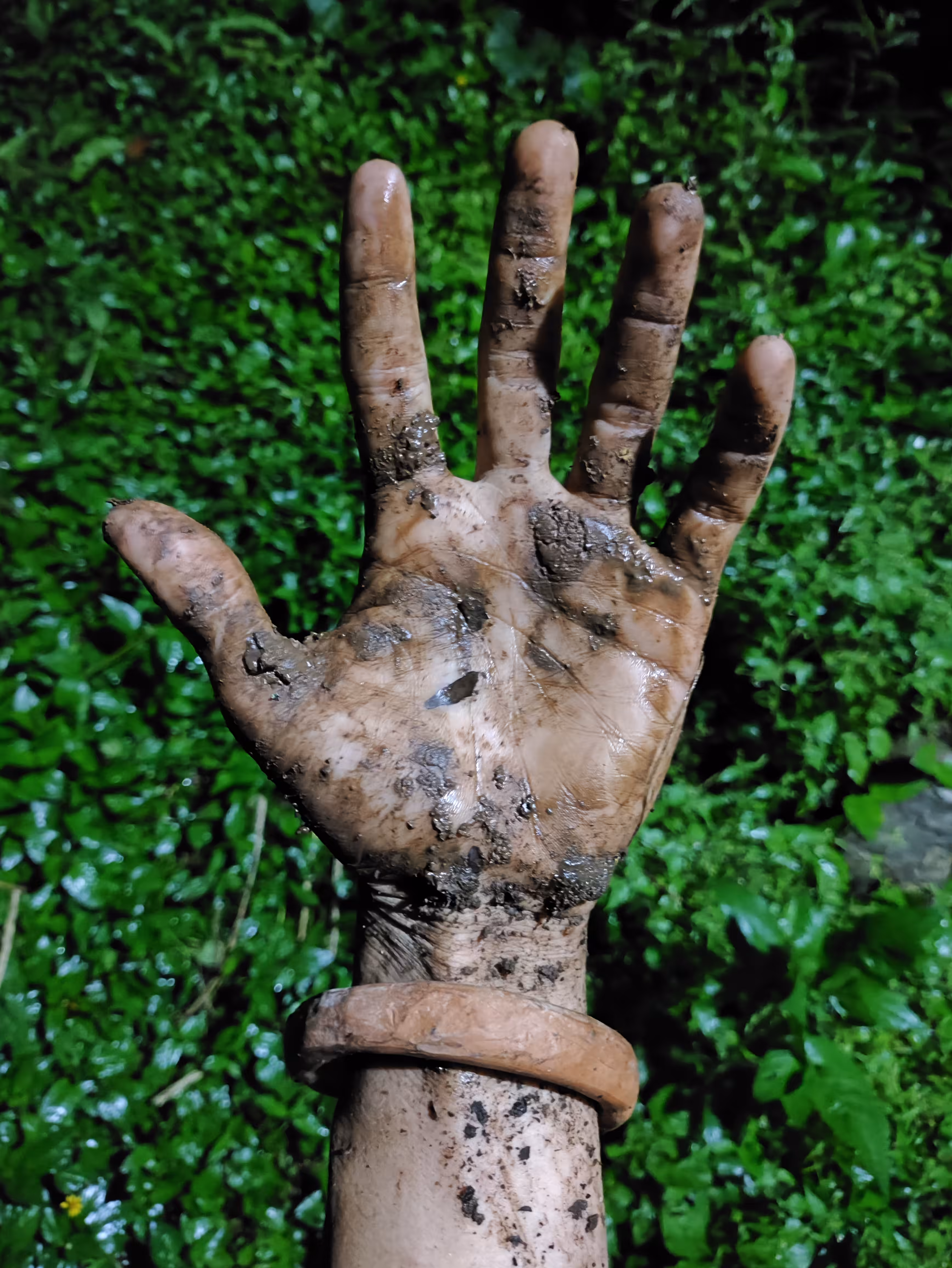 Materia Oscura: Unearthed, Yet Rooted