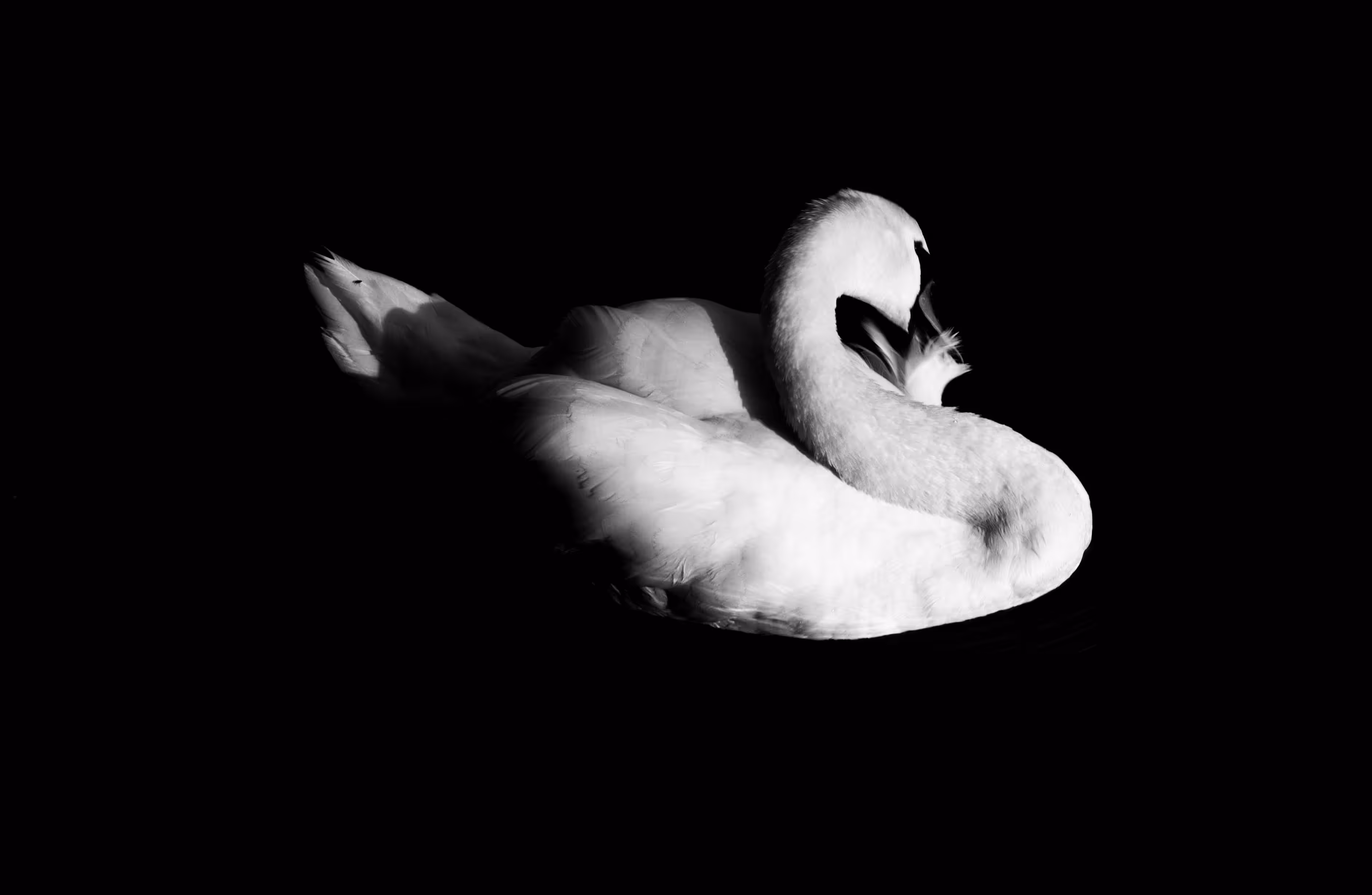 London in Monochrome 14