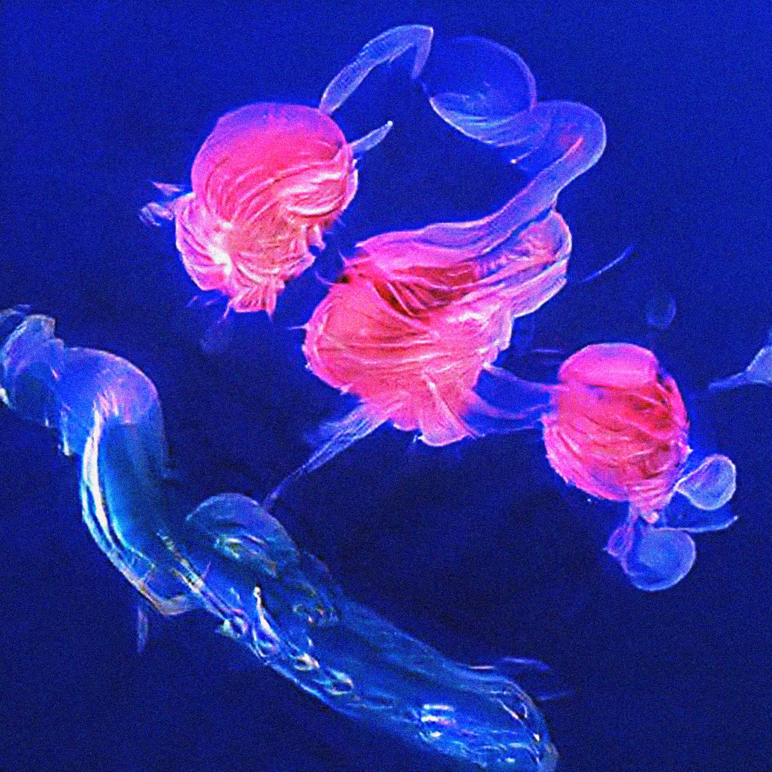 In Deep Water #2
