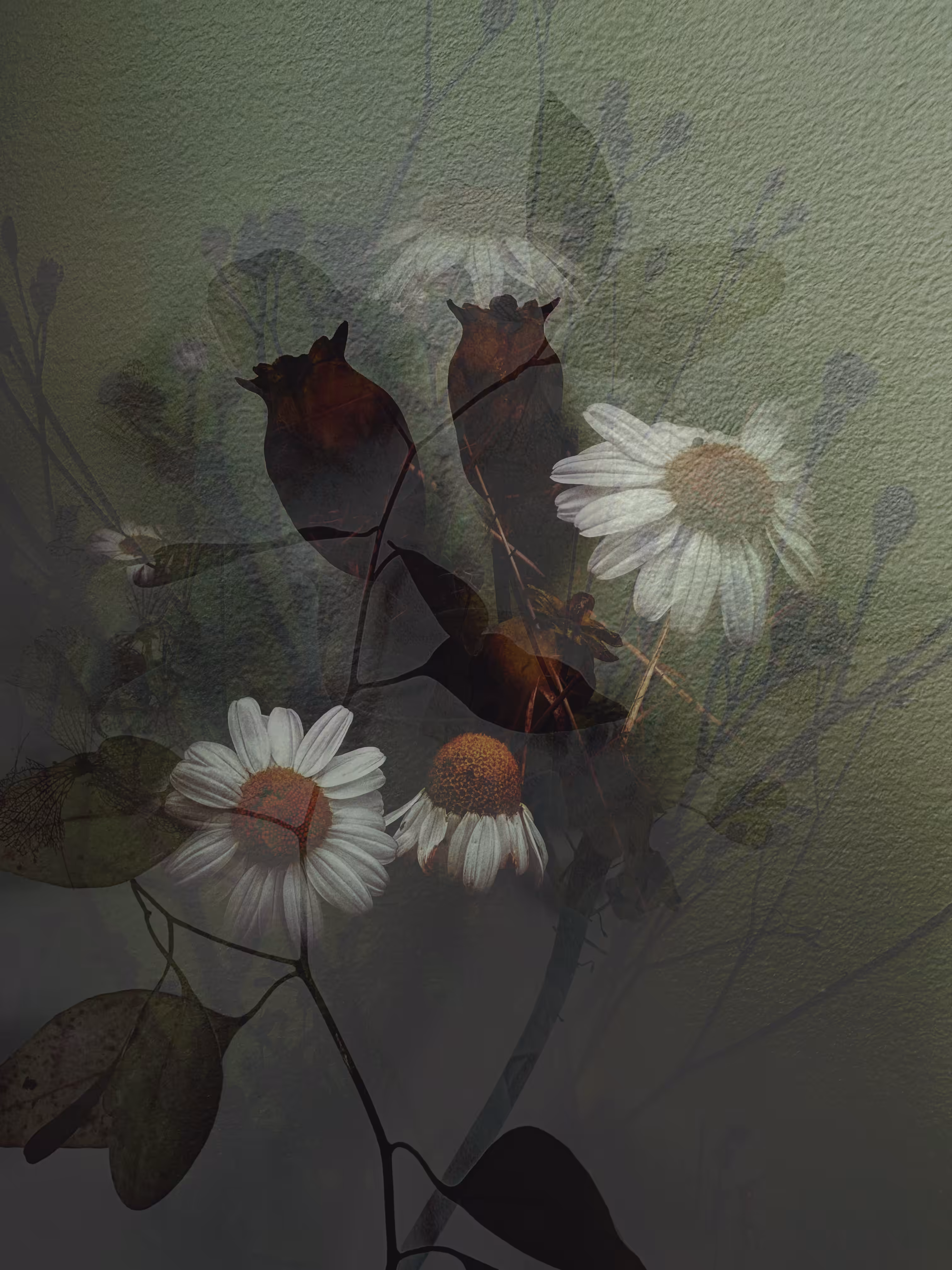 Chaotic Beauty
