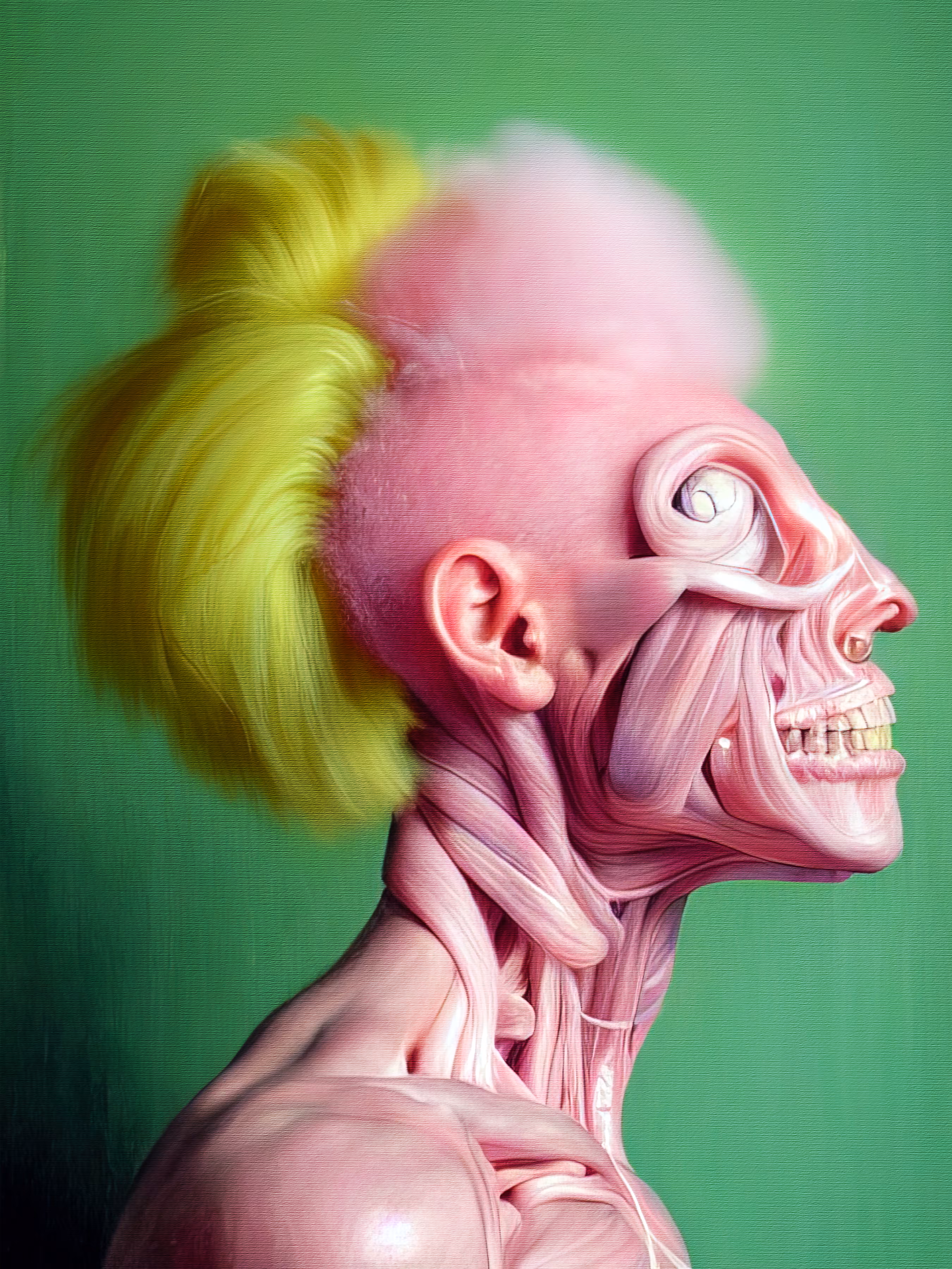 Anatomical Study  34.0