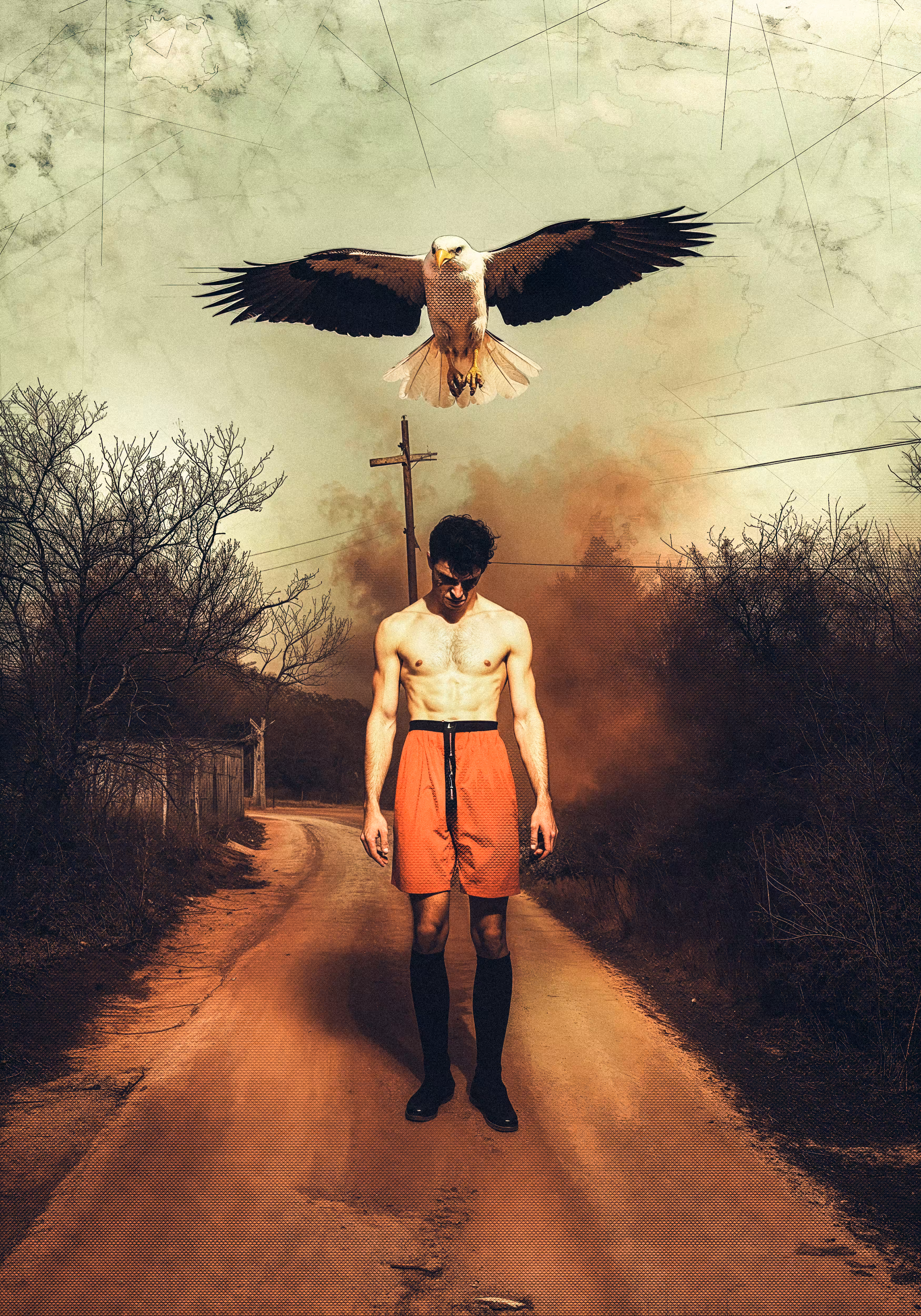 Free Bird