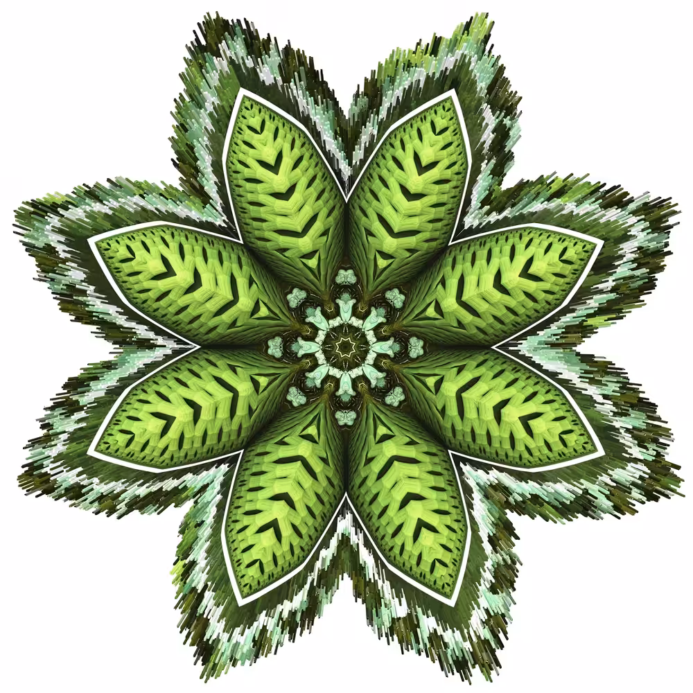 Leaf #2