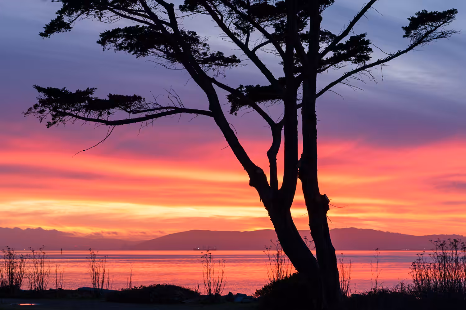 Vibrant winter sunset