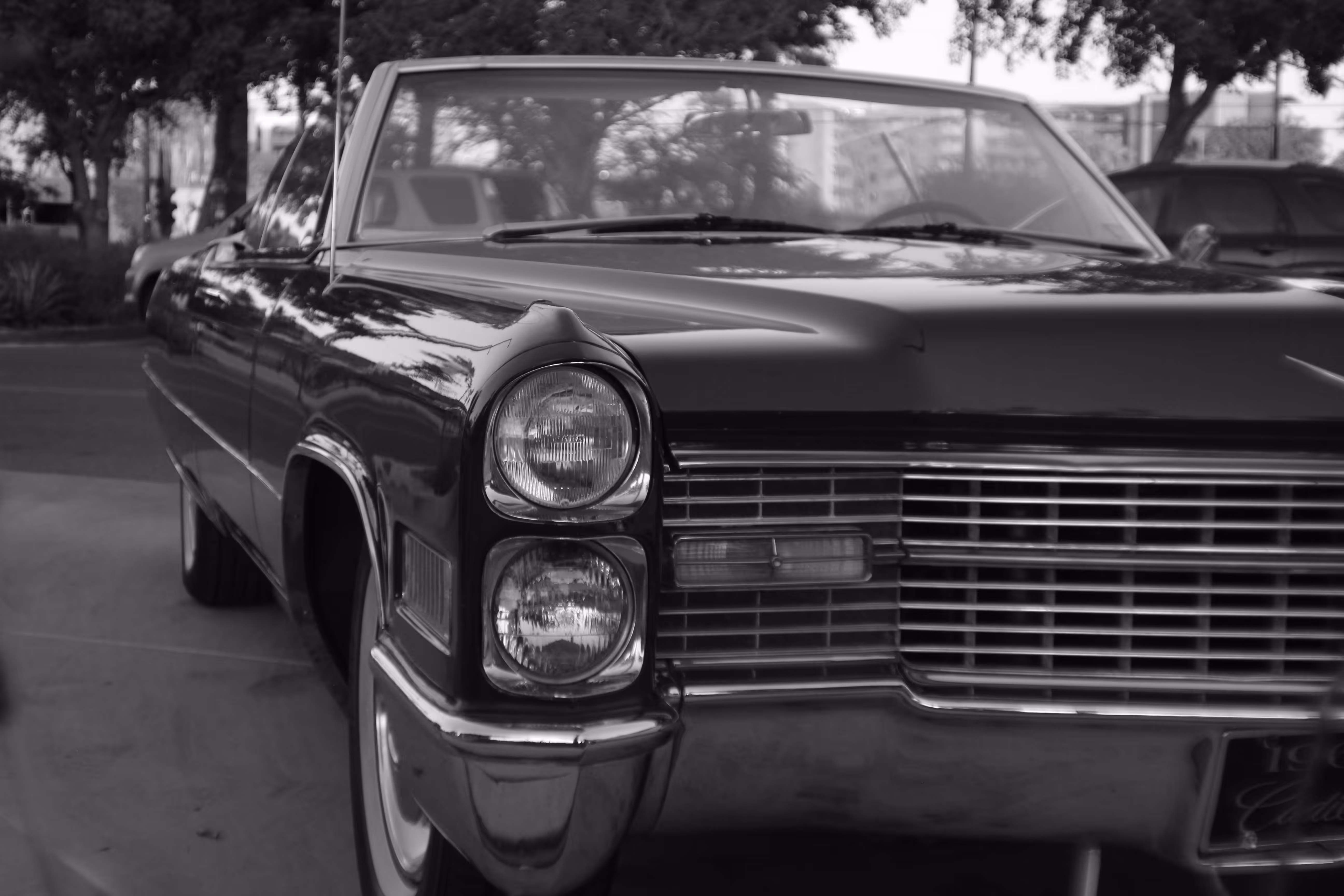 caddie