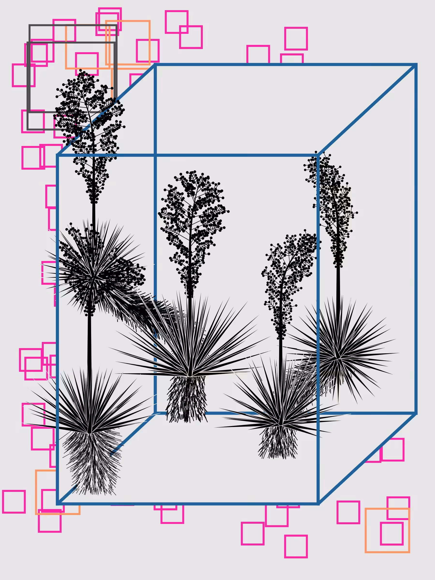 Marfa Yucca #252