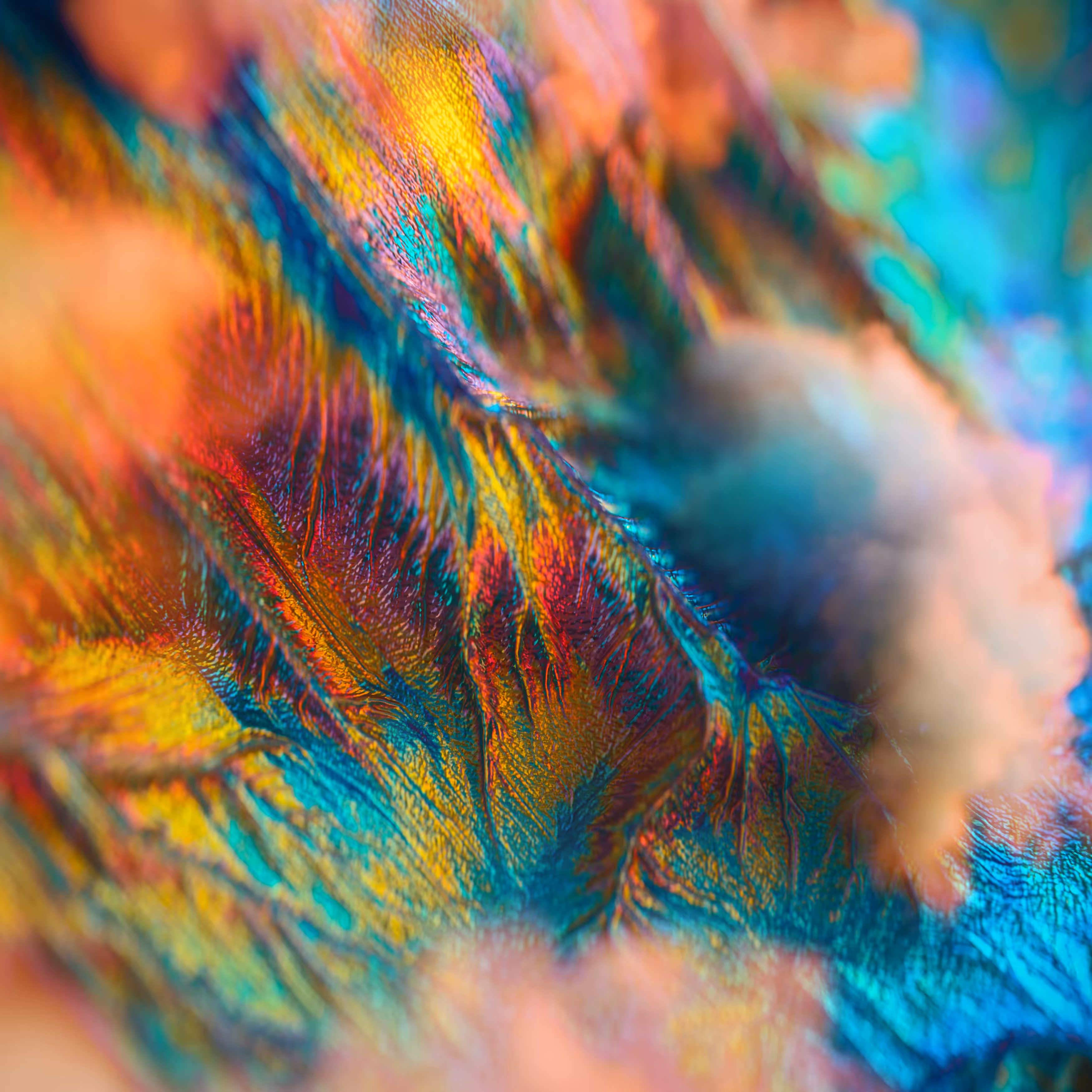 ____NEGATIVVE_LΛΛNDSCAPE_0200
