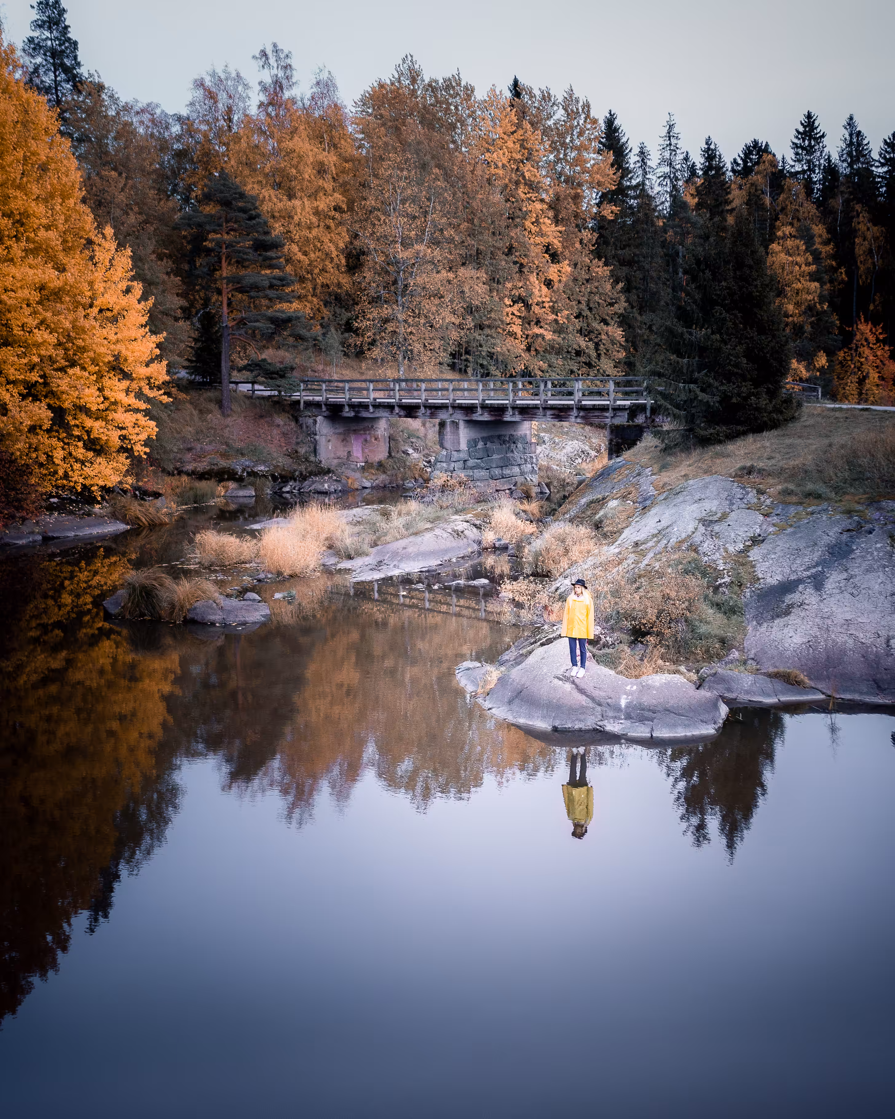 Autumn reflections #2