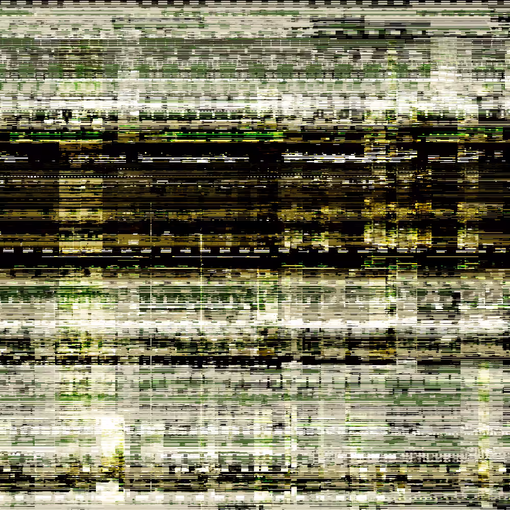 SPECTRA #19